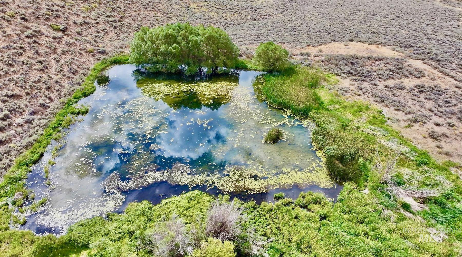 TBD Slaughterhouse Creek, Bellevue, Idaho 83313, Farm & Ranch For Sale, Price $750,000, 98923155