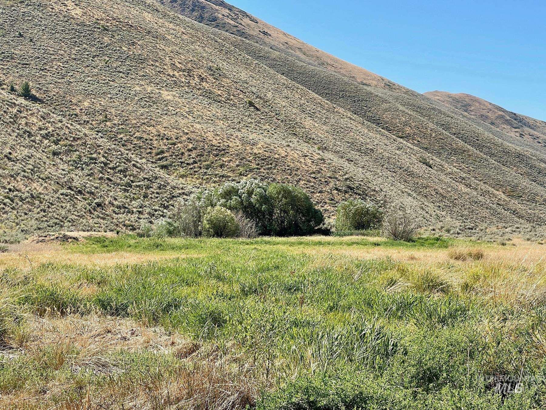 TBD Slaughterhouse Creek, Bellevue, Idaho 83313, Farm & Ranch For Sale, Price $750,000, 98923155
