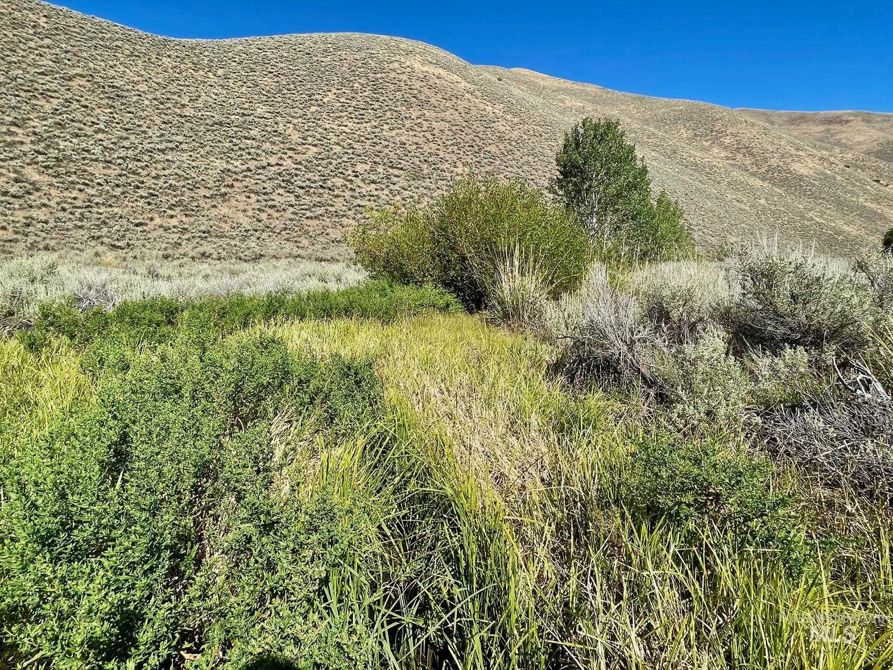 TBD Slaughterhouse Creek, Bellevue, Idaho 83313, Farm & Ranch For Sale, Price $750,000, 98923155