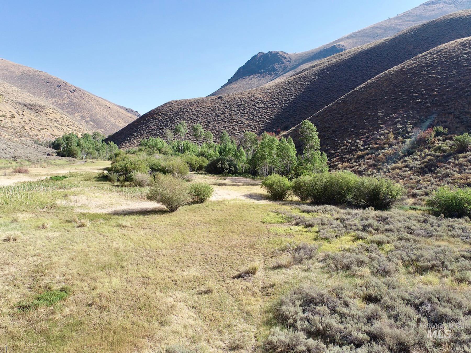 TBD Slaughterhouse Creek, Bellevue, Idaho 83313, Farm & Ranch For Sale, Price $750,000, 98923155
