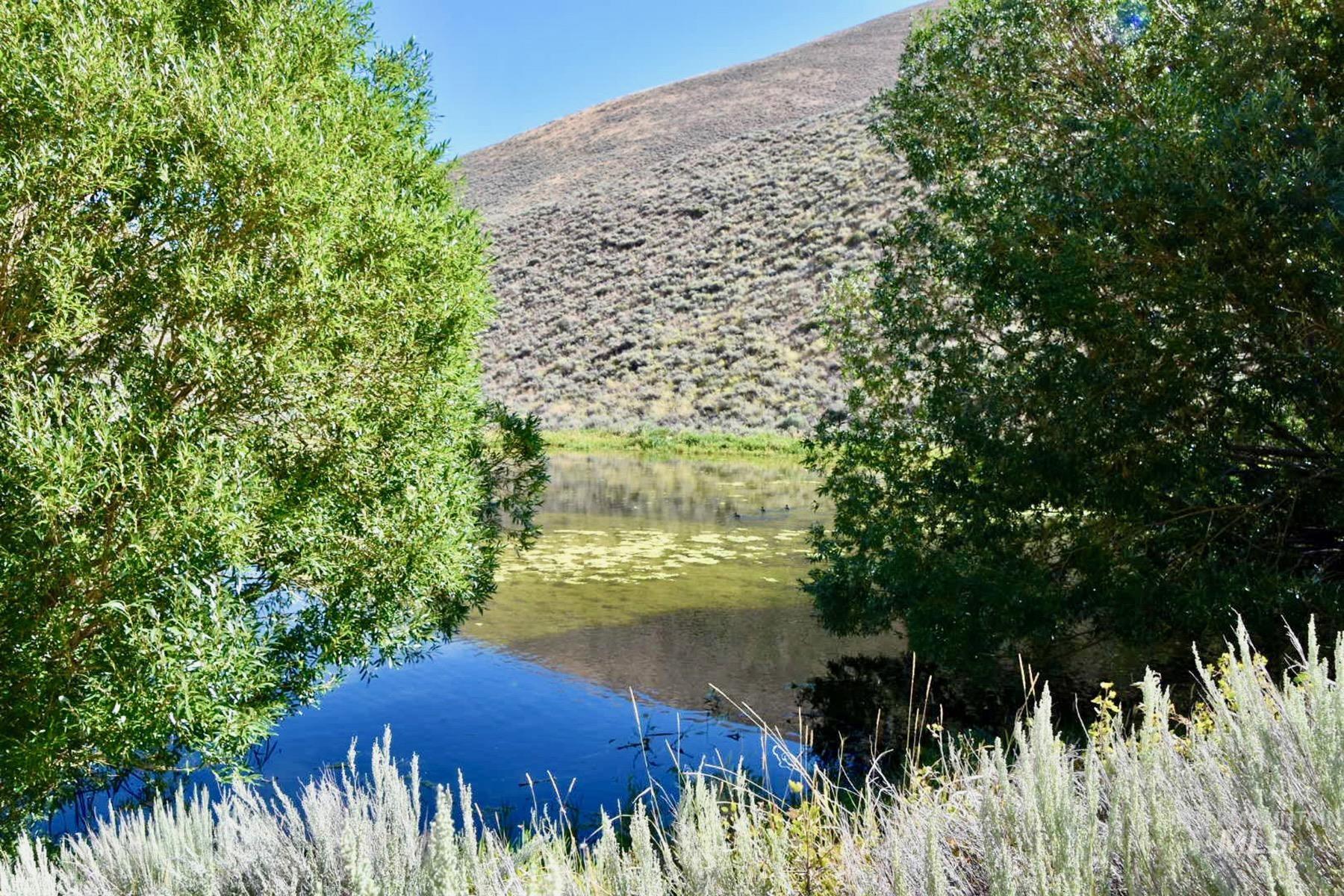 TBD Slaughterhouse Creek, Bellevue, Idaho 83313, Farm & Ranch For Sale, Price $750,000, 98923155