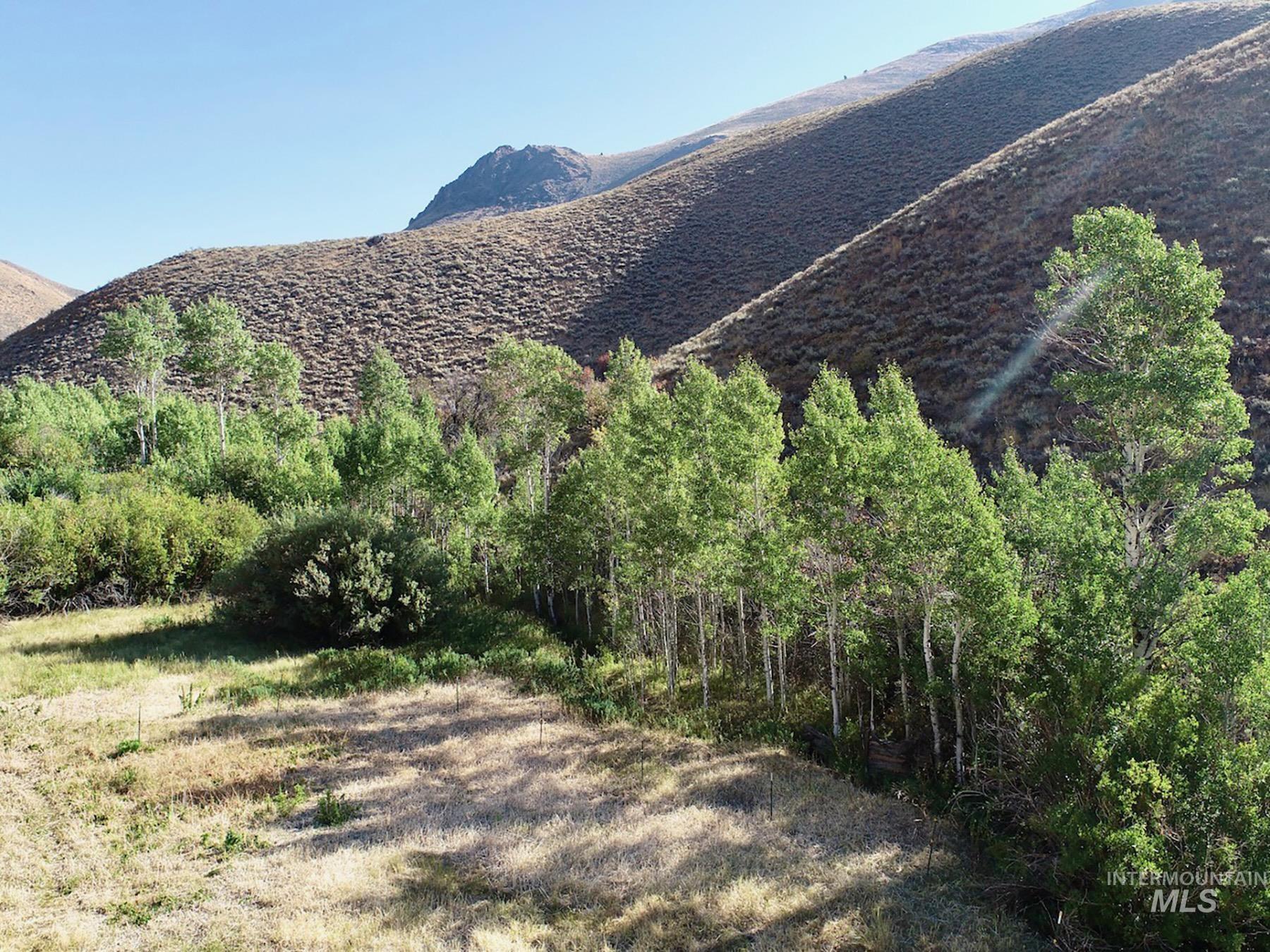 TBD Slaughterhouse Creek, Bellevue, Idaho 83313, Farm & Ranch For Sale, Price $750,000, 98923155