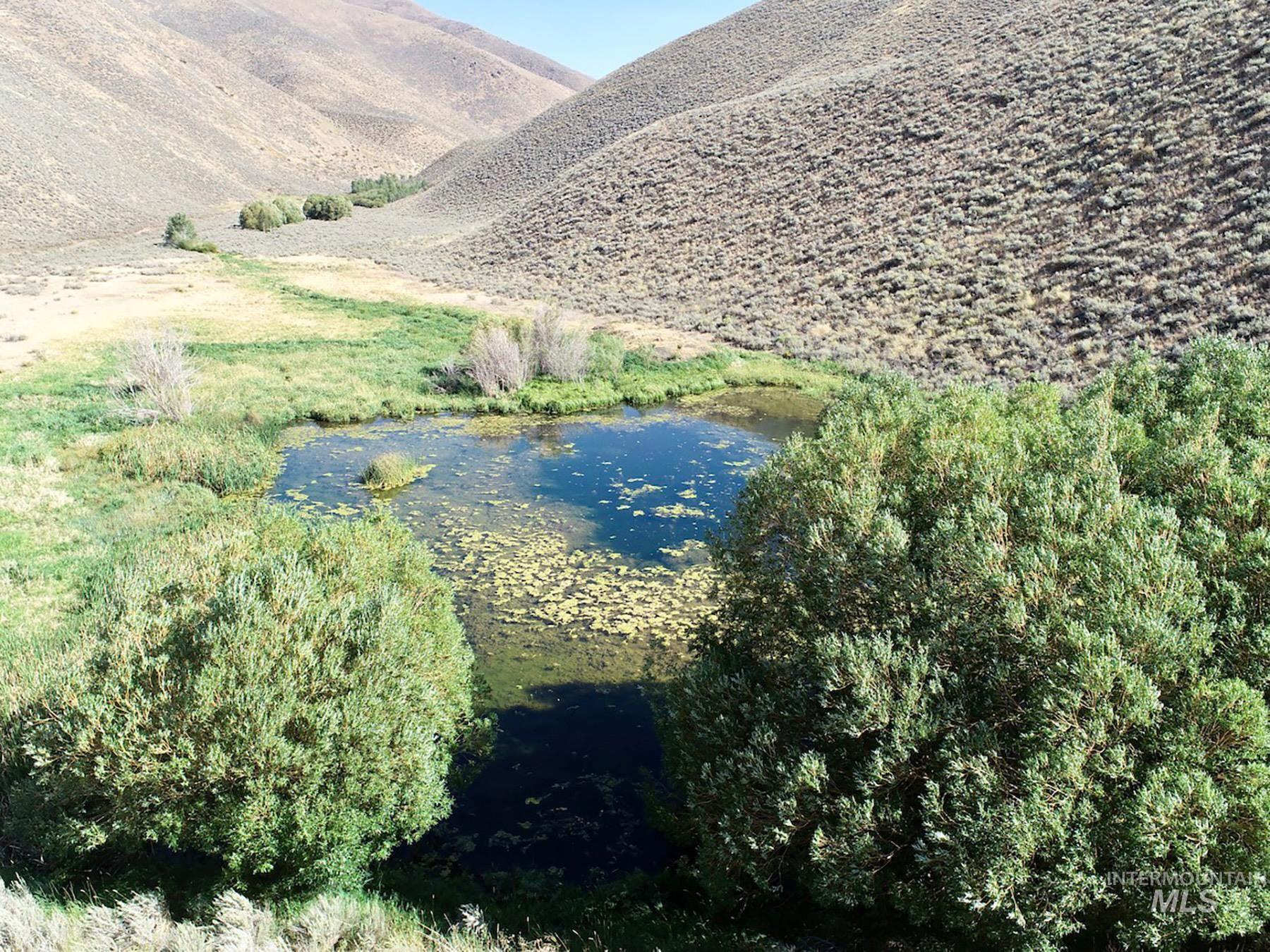TBD Slaughterhouse Creek, Bellevue, Idaho 83313, Farm & Ranch For Sale, Price $750,000, 98923155