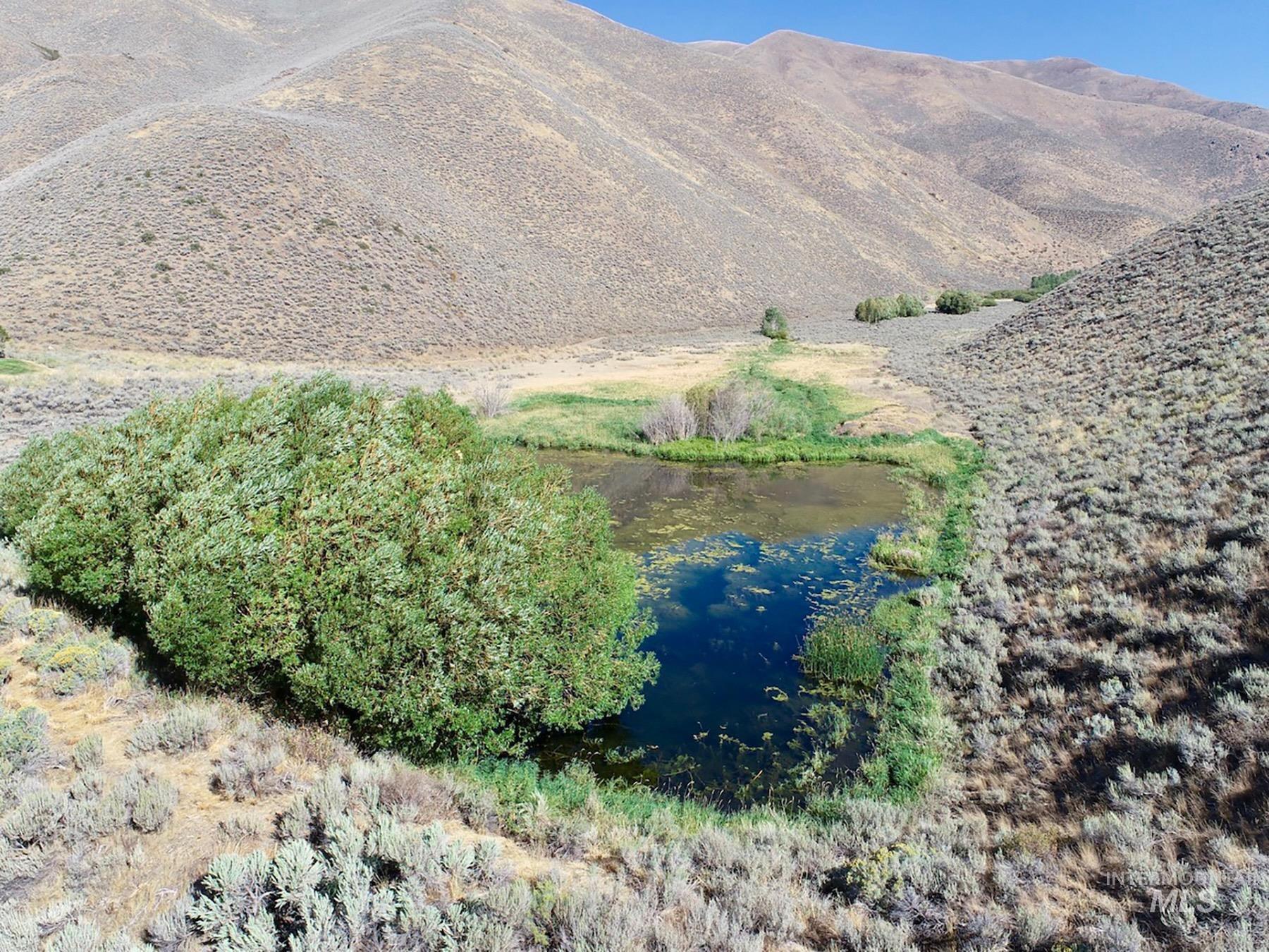 TBD Slaughterhouse Creek, Bellevue, Idaho 83313, Farm & Ranch For Sale, Price $750,000, 98923155
