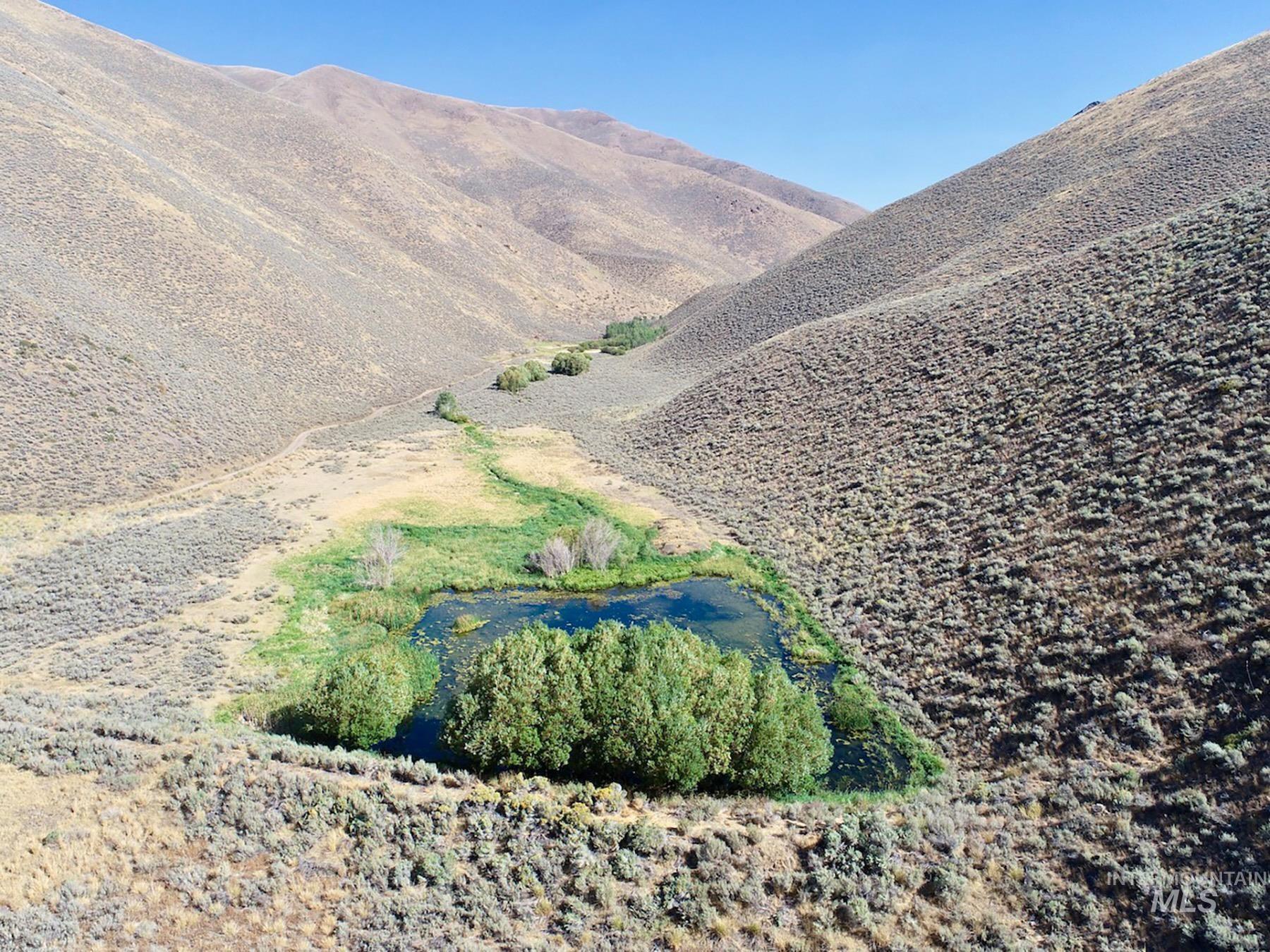 TBD Slaughterhouse Creek, Bellevue, Idaho 83313, Farm & Ranch For Sale, Price $750,000, 98923155