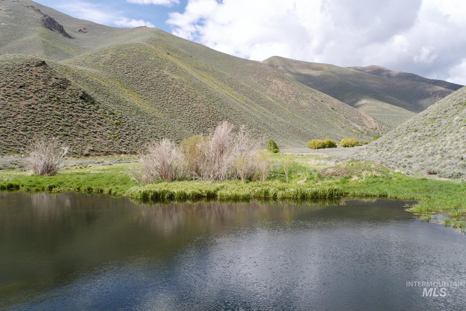 TBD Slaughterhouse Creek, Bellevue, Idaho 83313, Farm & Ranch For Sale, Price $750,000, 98923155