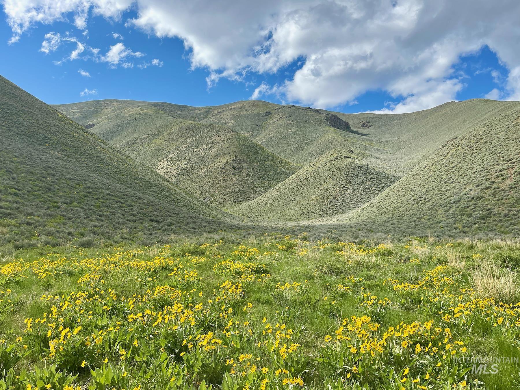 TBD Slaughterhouse Creek, Bellevue, Idaho 83313, Farm & Ranch For Sale, Price $750,000, 98923155