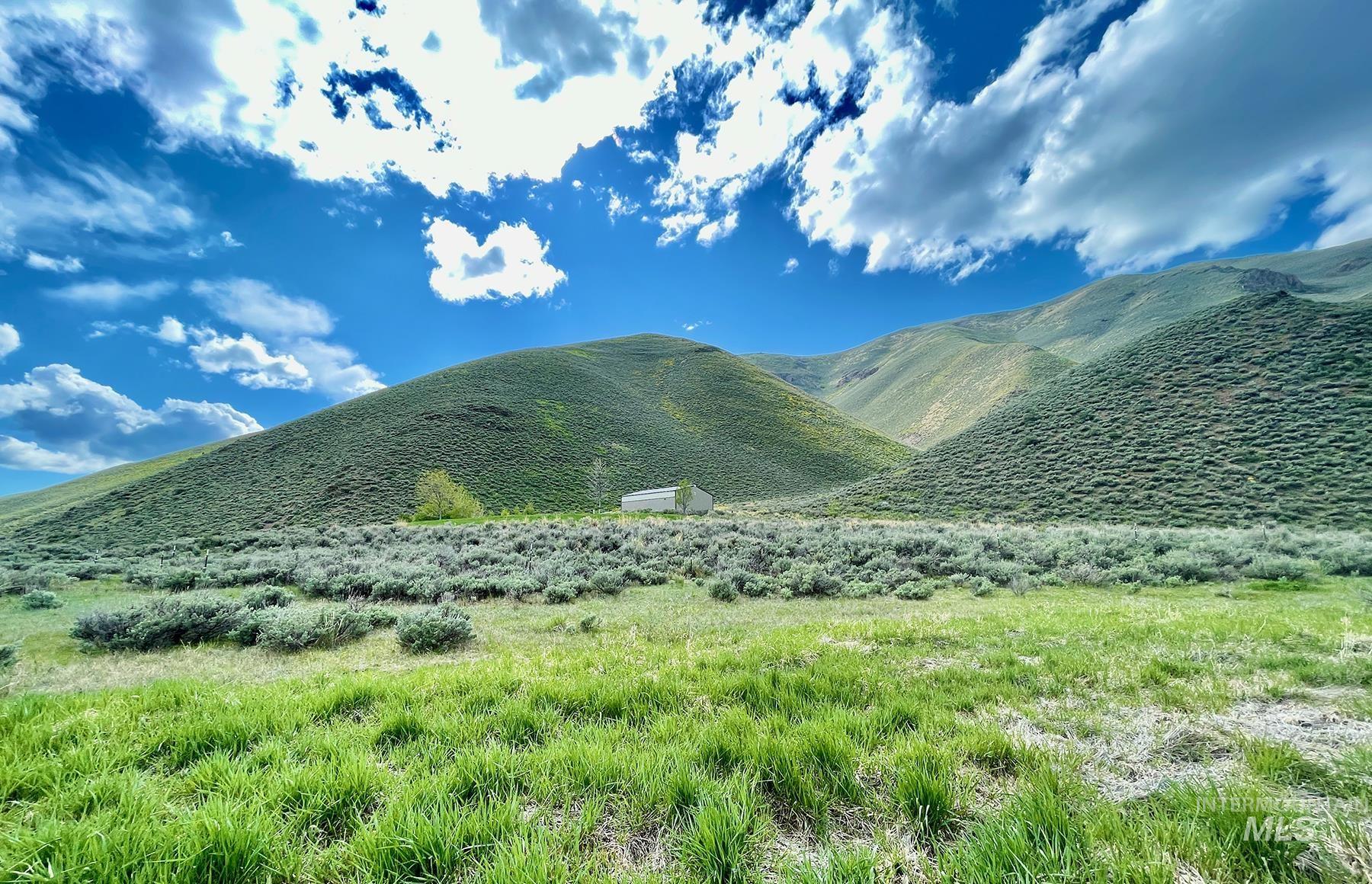 TBD Slaughterhouse Creek, Bellevue, Idaho 83313, Farm & Ranch For Sale, Price $750,000, 98923155