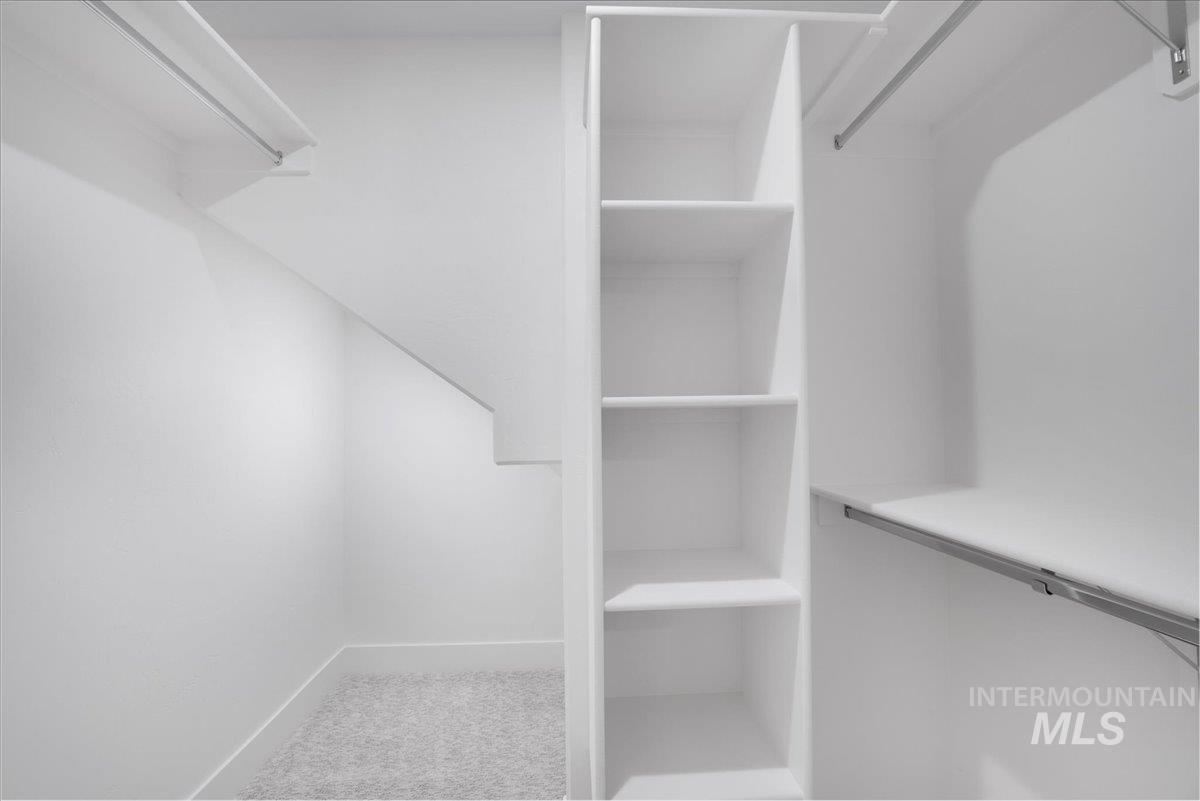 Walk in closet with carpet