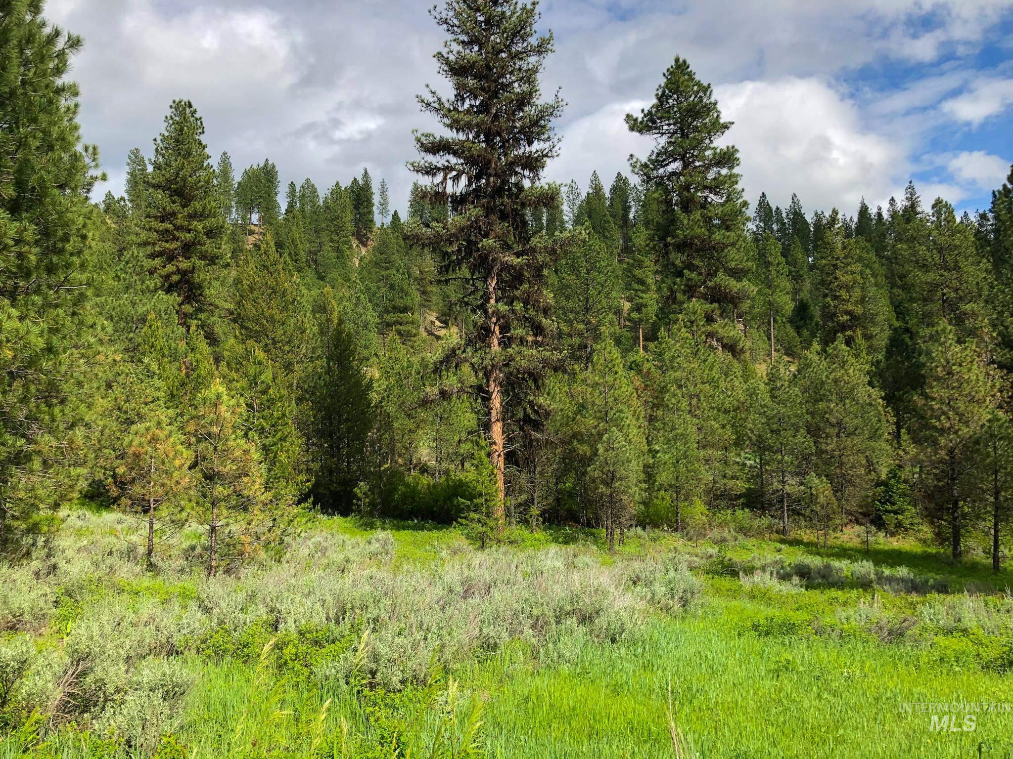 TBD Meadow Creek Drive, Idaho City, Idaho 83631, Land For Sale, Price $398,000, 98923272