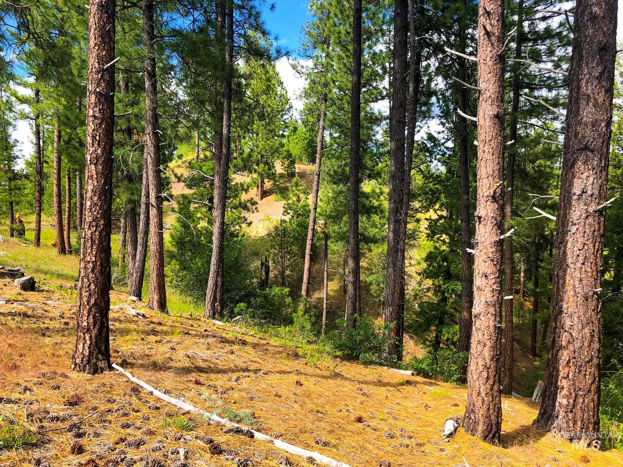 TBD Meadow Creek Drive, Idaho City, Idaho 83631, Land For Sale, Price $398,000, 98923272