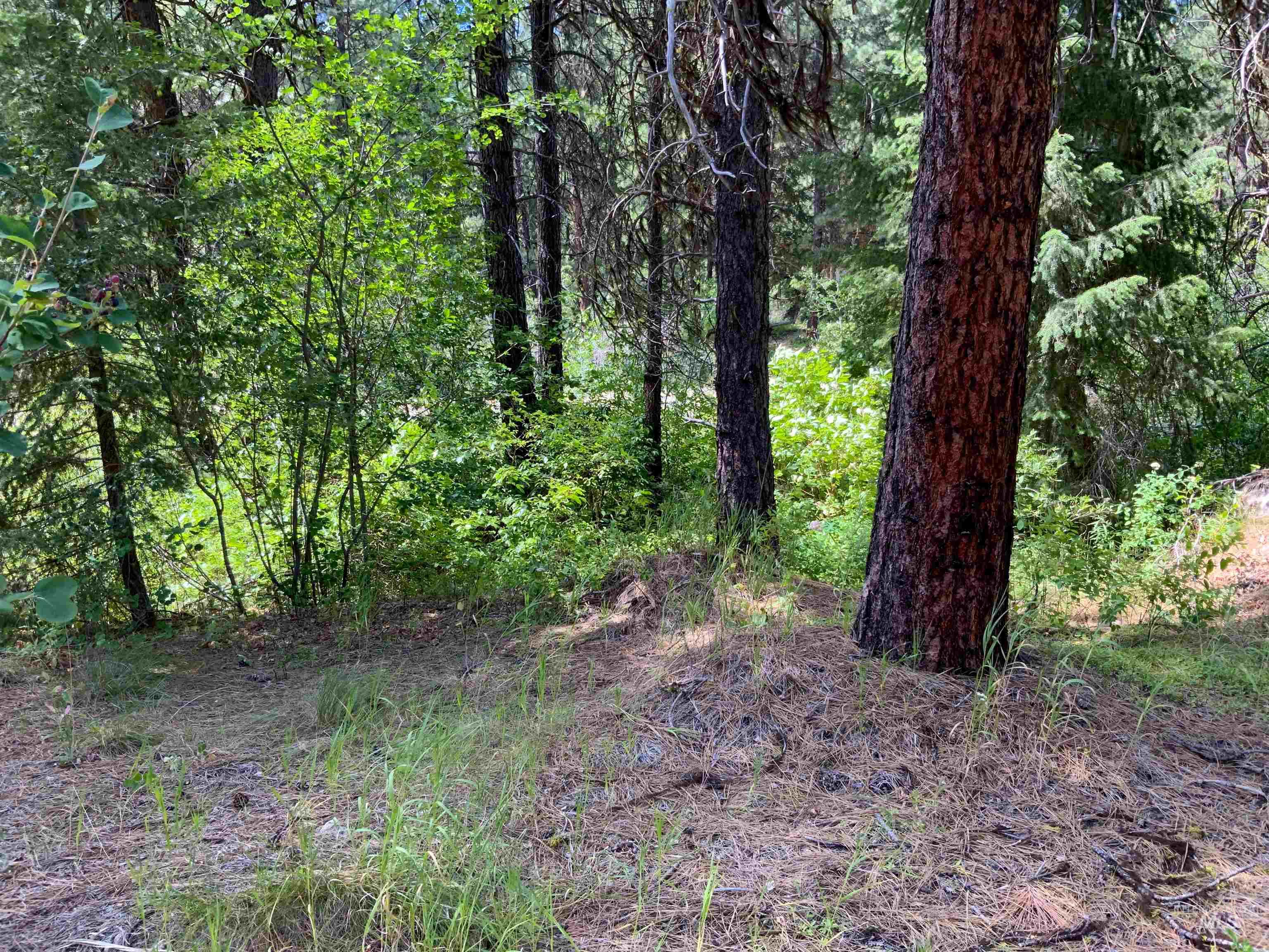 TBD Meadow Creek Drive, Idaho City, Idaho 83631, Land For Sale, Price $398,000, 98923272