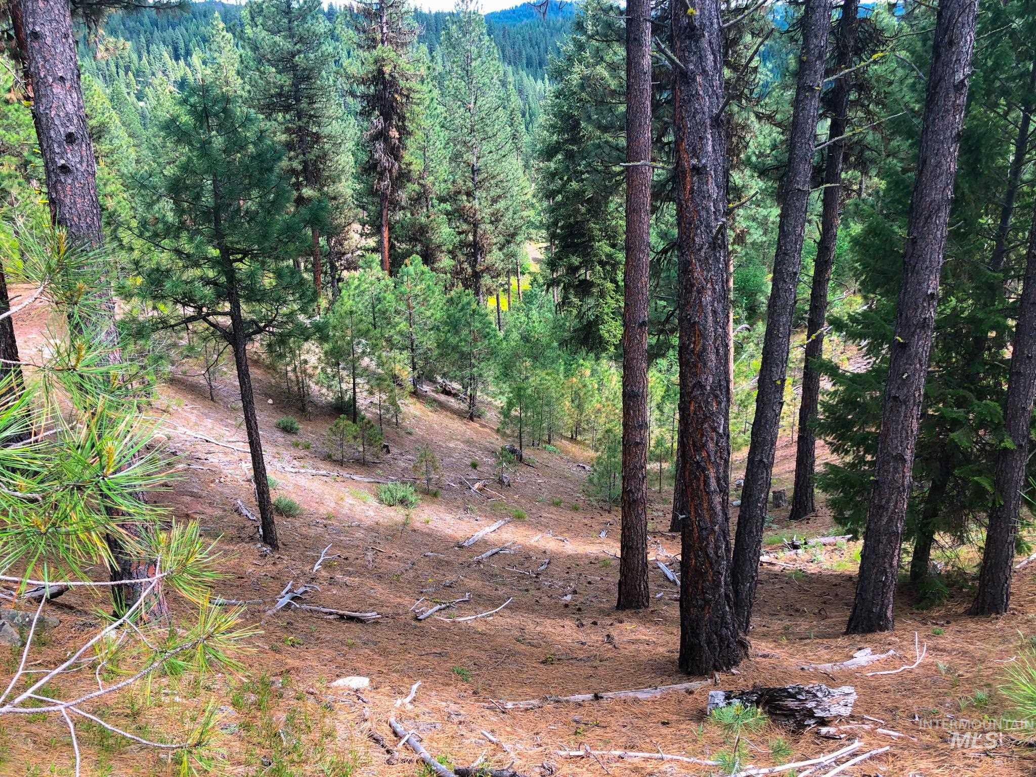 TBD Meadow Creek Drive, Idaho City, Idaho 83631, Land For Sale, Price $398,000, 98923272