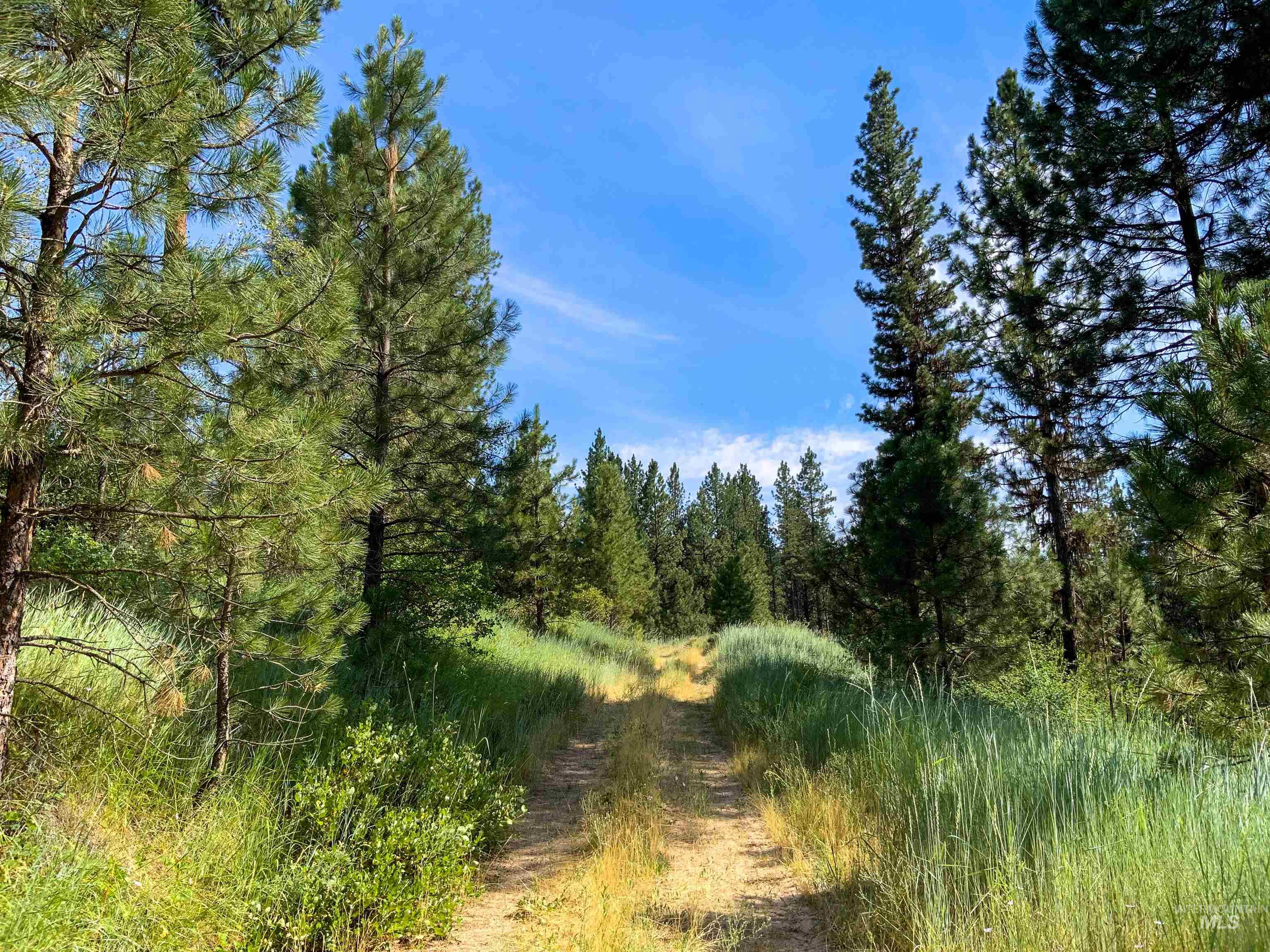 TBD Meadow Creek Drive, Idaho City, Idaho 83631, Land For Sale, Price $398,000, 98923272