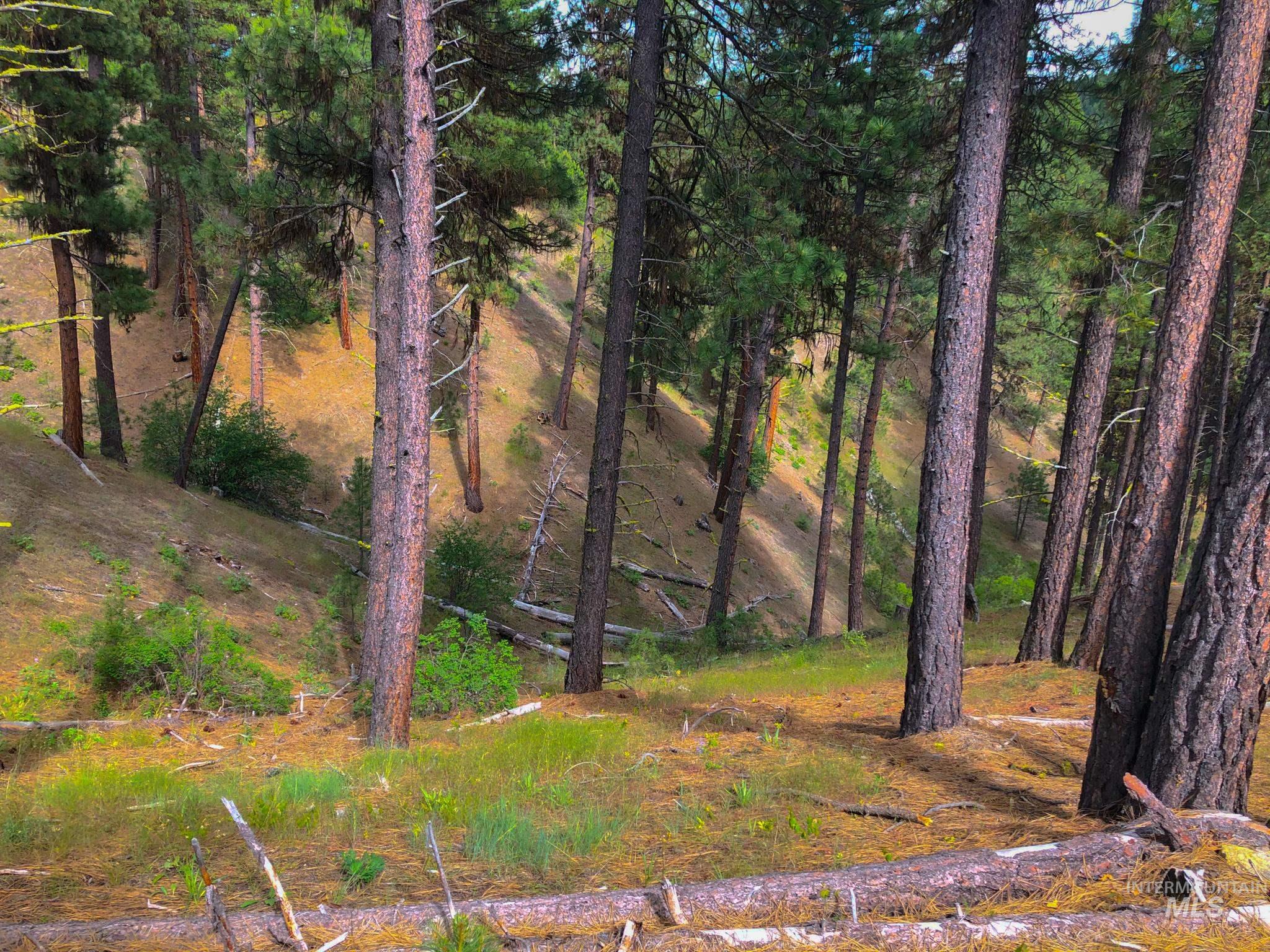 TBD Meadow Creek Drive, Idaho City, Idaho 83631, Land For Sale, Price $398,000, 98923272