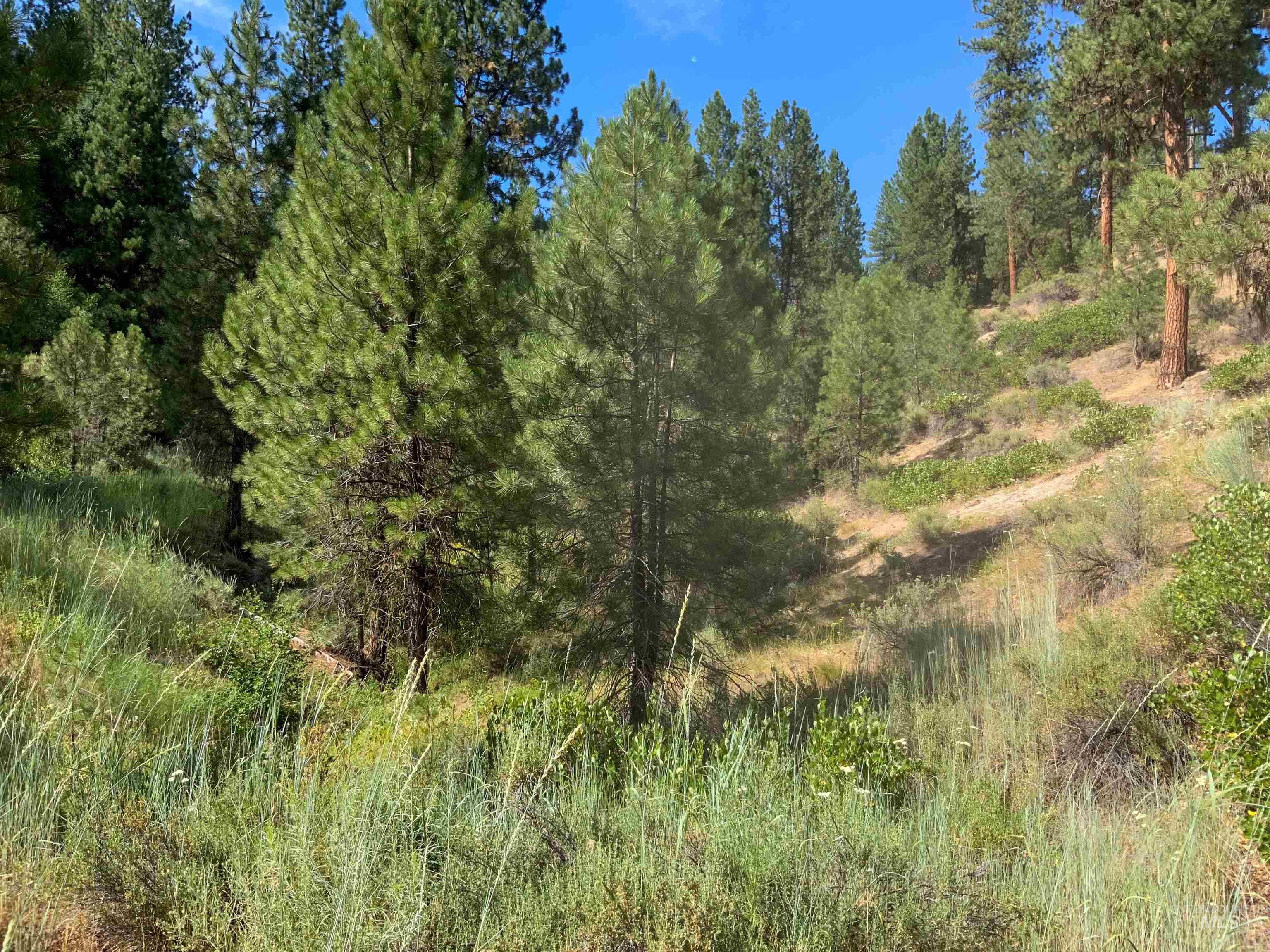 TBD Meadow Creek Drive, Idaho City, Idaho 83631, Land For Sale, Price $398,000, 98923272