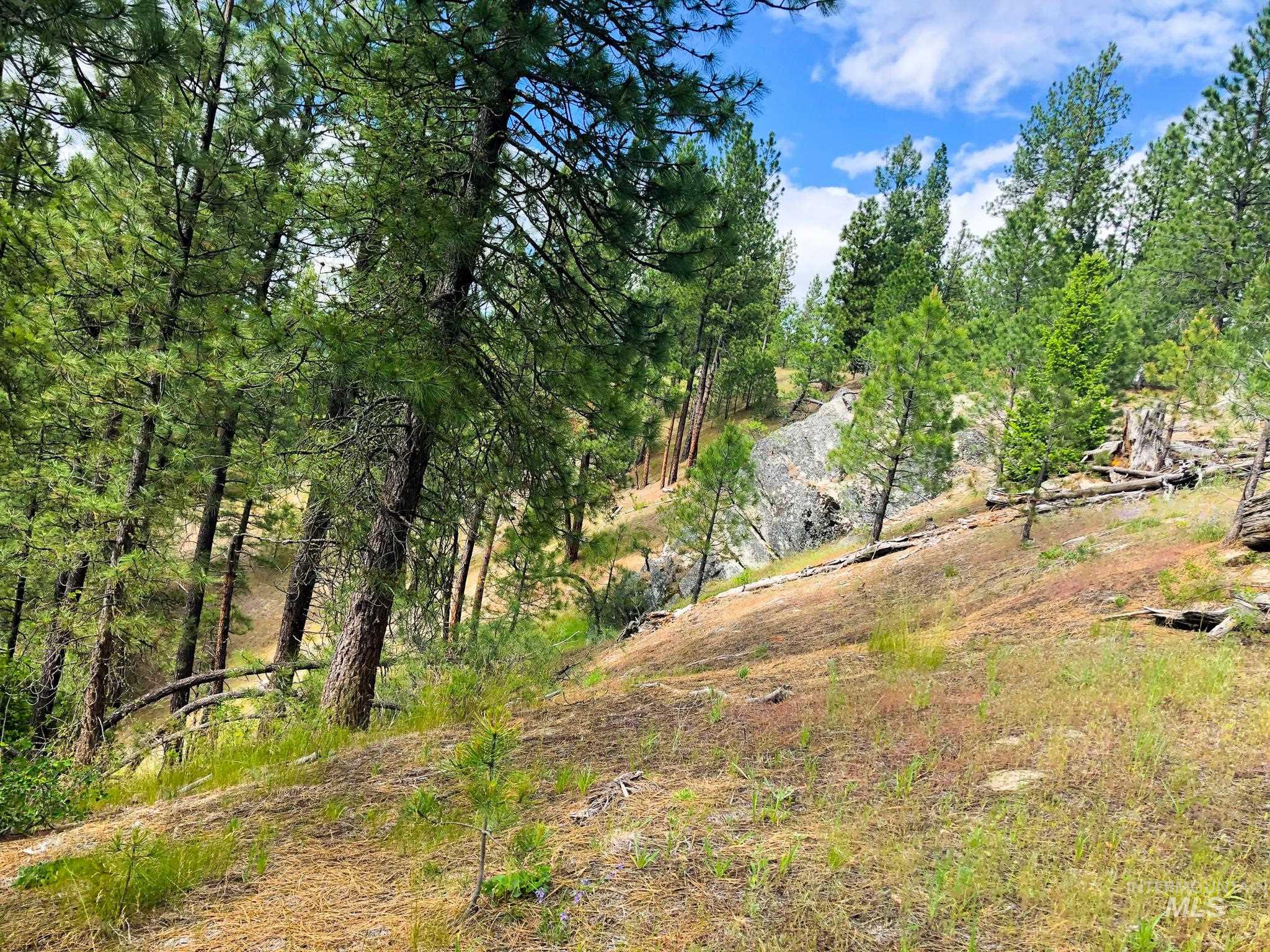 TBD Meadow Creek Drive, Idaho City, Idaho 83631, Land For Sale, Price $398,000, 98923272