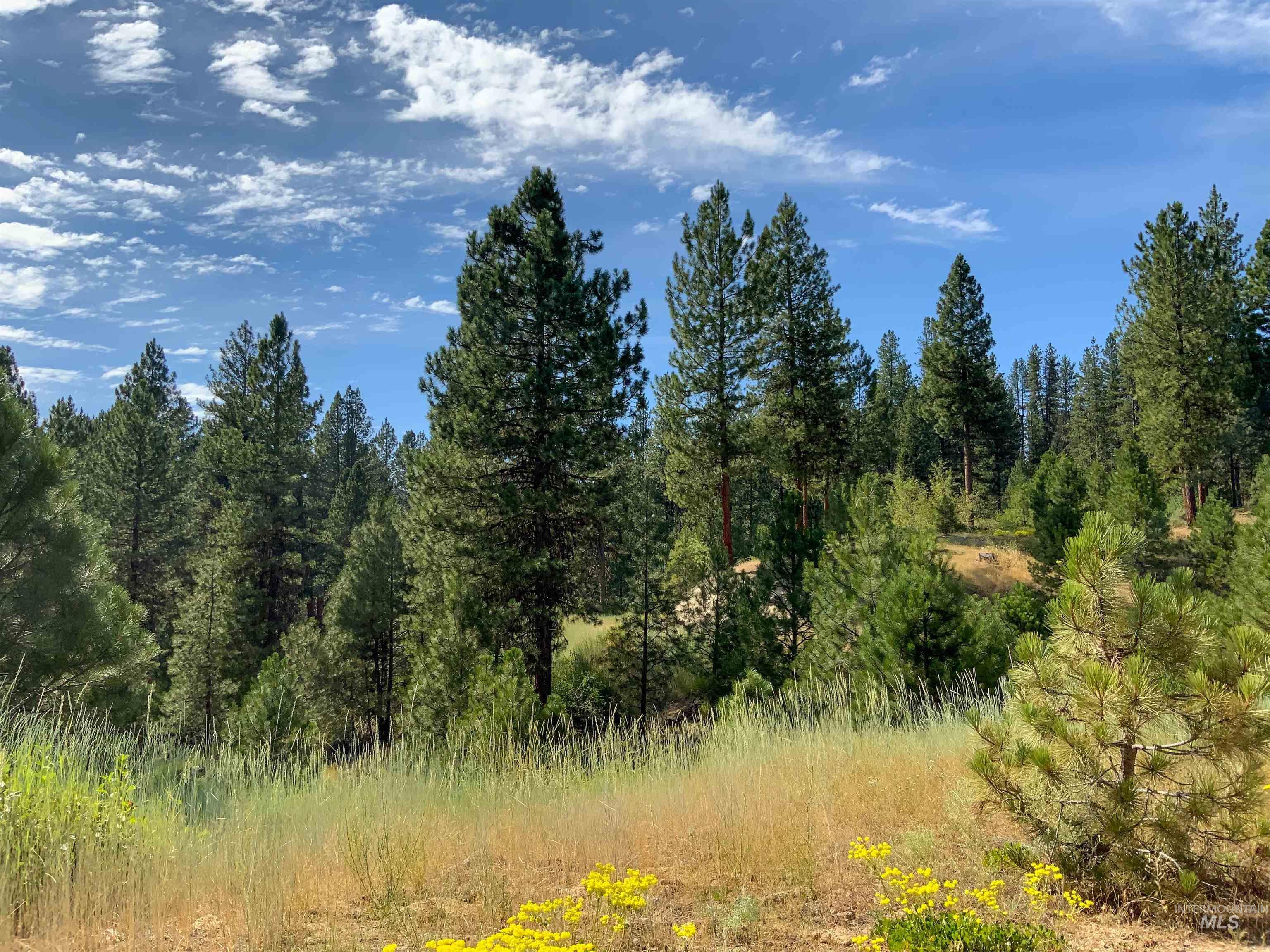 TBD Meadow Creek Drive, Idaho City, Idaho 83631, Land For Sale, Price $398,000, 98923272