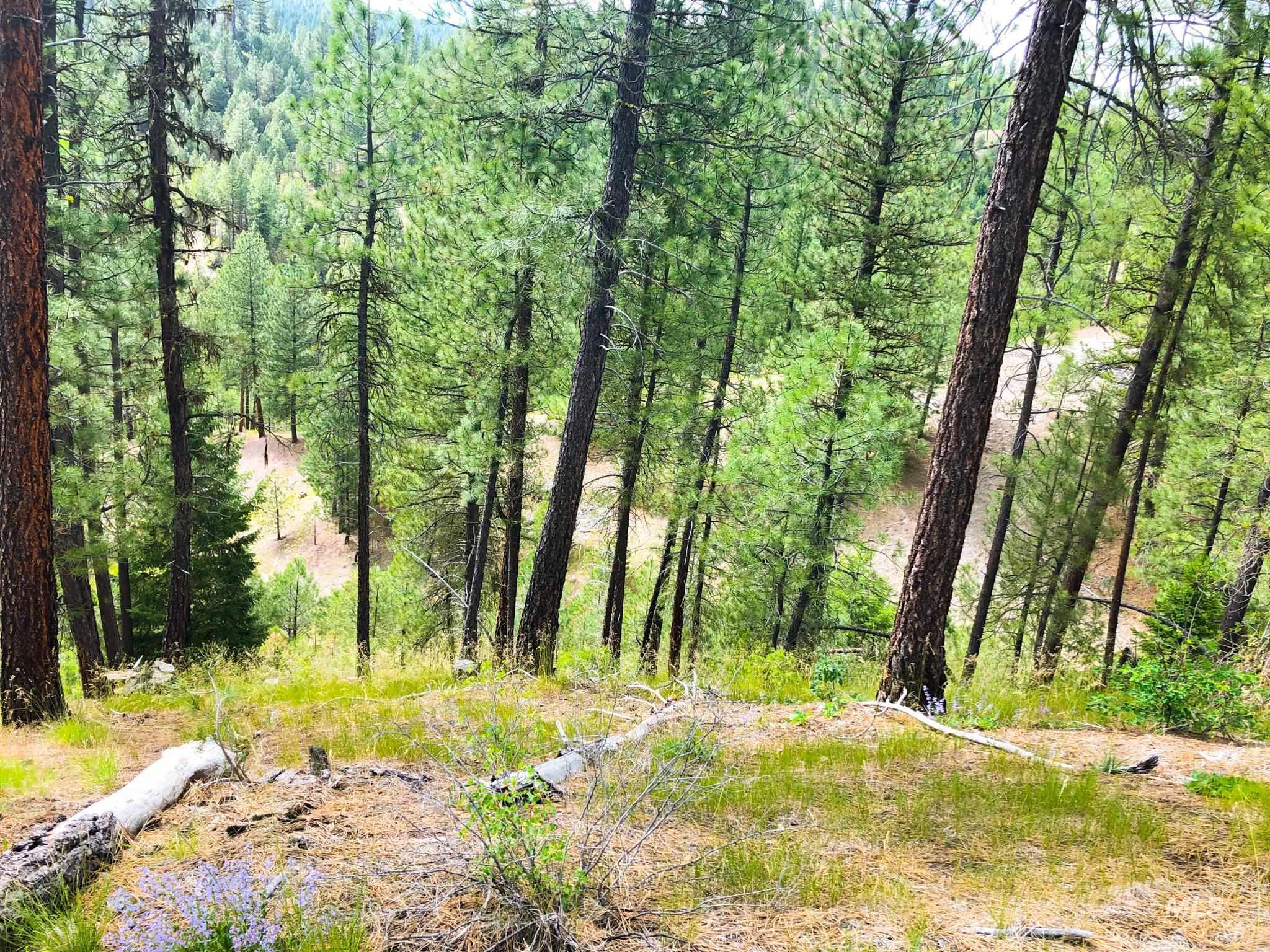 TBD Meadow Creek Drive, Idaho City, Idaho 83631, Land For Sale, Price $398,000, 98923272
