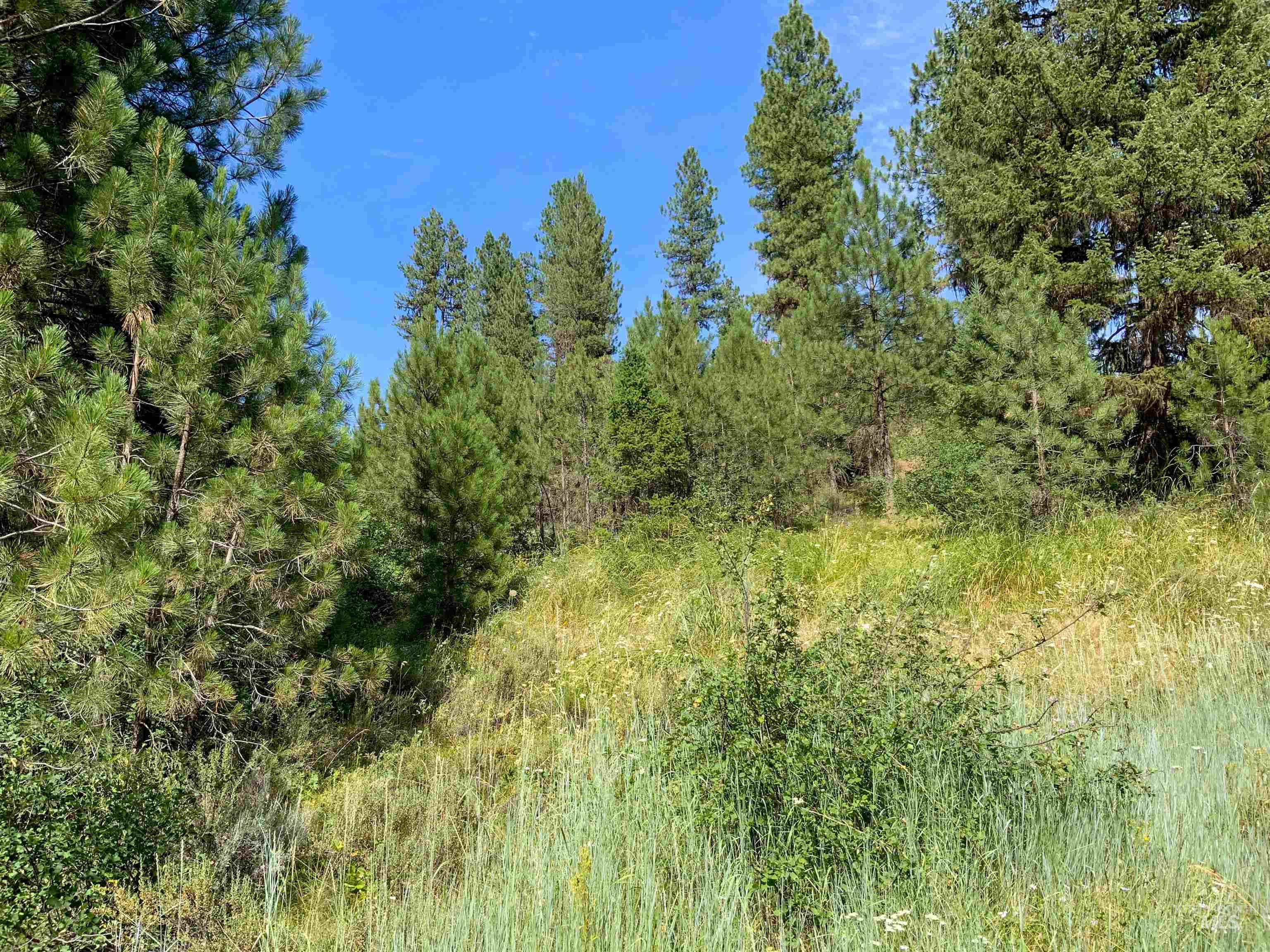 TBD Meadow Creek Drive, Idaho City, Idaho 83631, Land For Sale, Price $398,000, 98923272