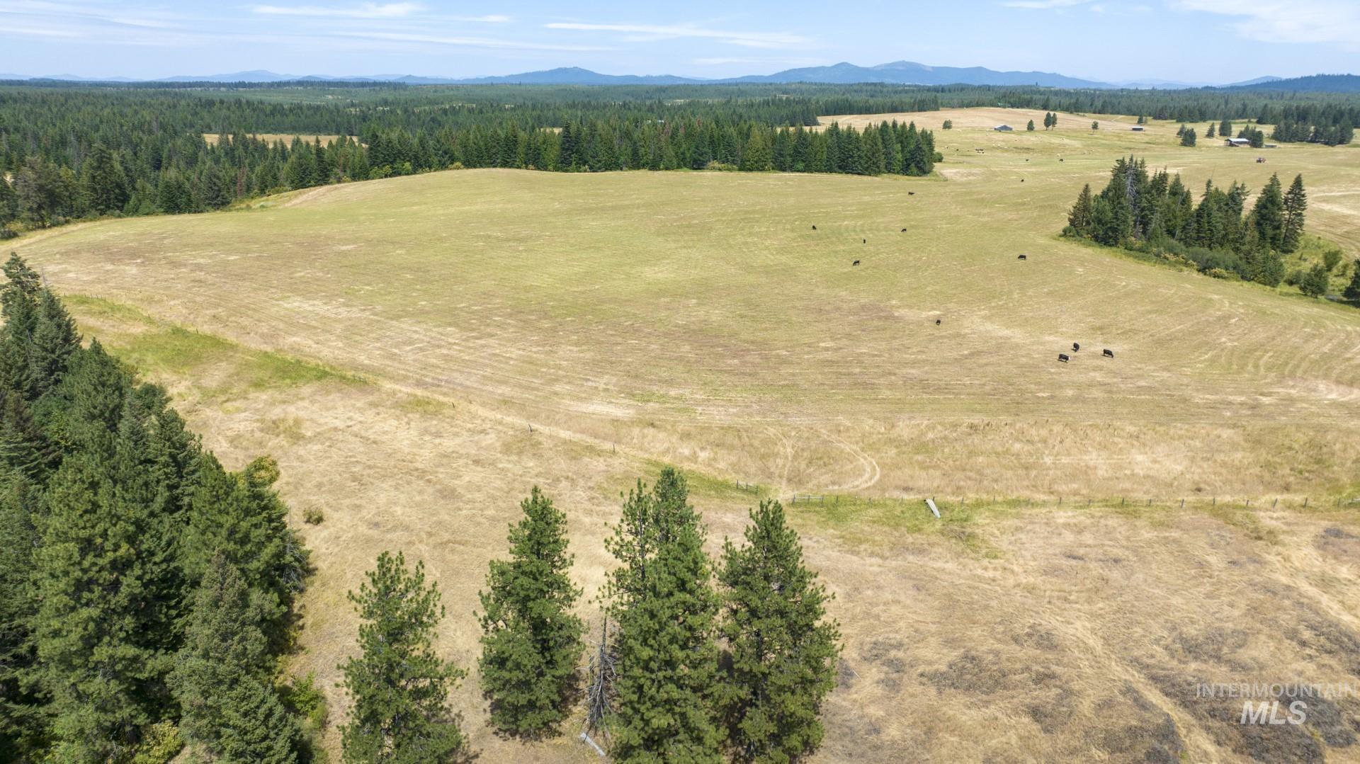 1605 Jasmine Ln, Parcels 14 & 15, Weippe, Idaho 83553, Land For Sale, Price $340,000, 98923378