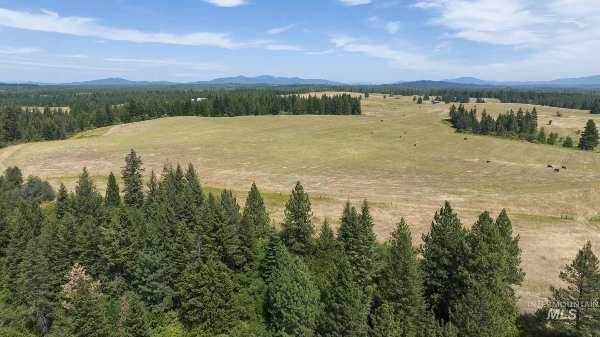 1605 Jasmine Ln, Parcels 14 & 15, Weippe, Idaho 83553, Land For Sale, Price $340,000, 98923378