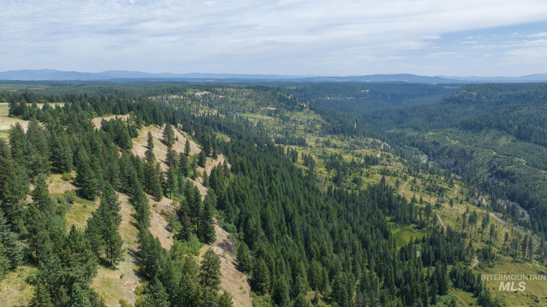 1605 Jasmine Ln, Parcels 14 & 15, Weippe, Idaho 83553, Land For Sale, Price $340,000, 98923378