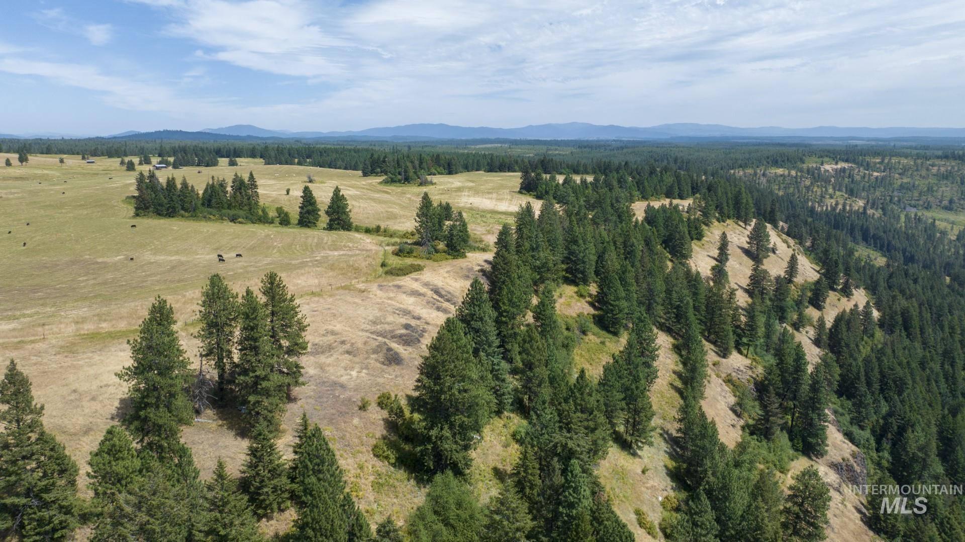 1605 Jasmine Ln, Parcels 14 & 15, Weippe, Idaho 83553, Land For Sale, Price $340,000, 98923378