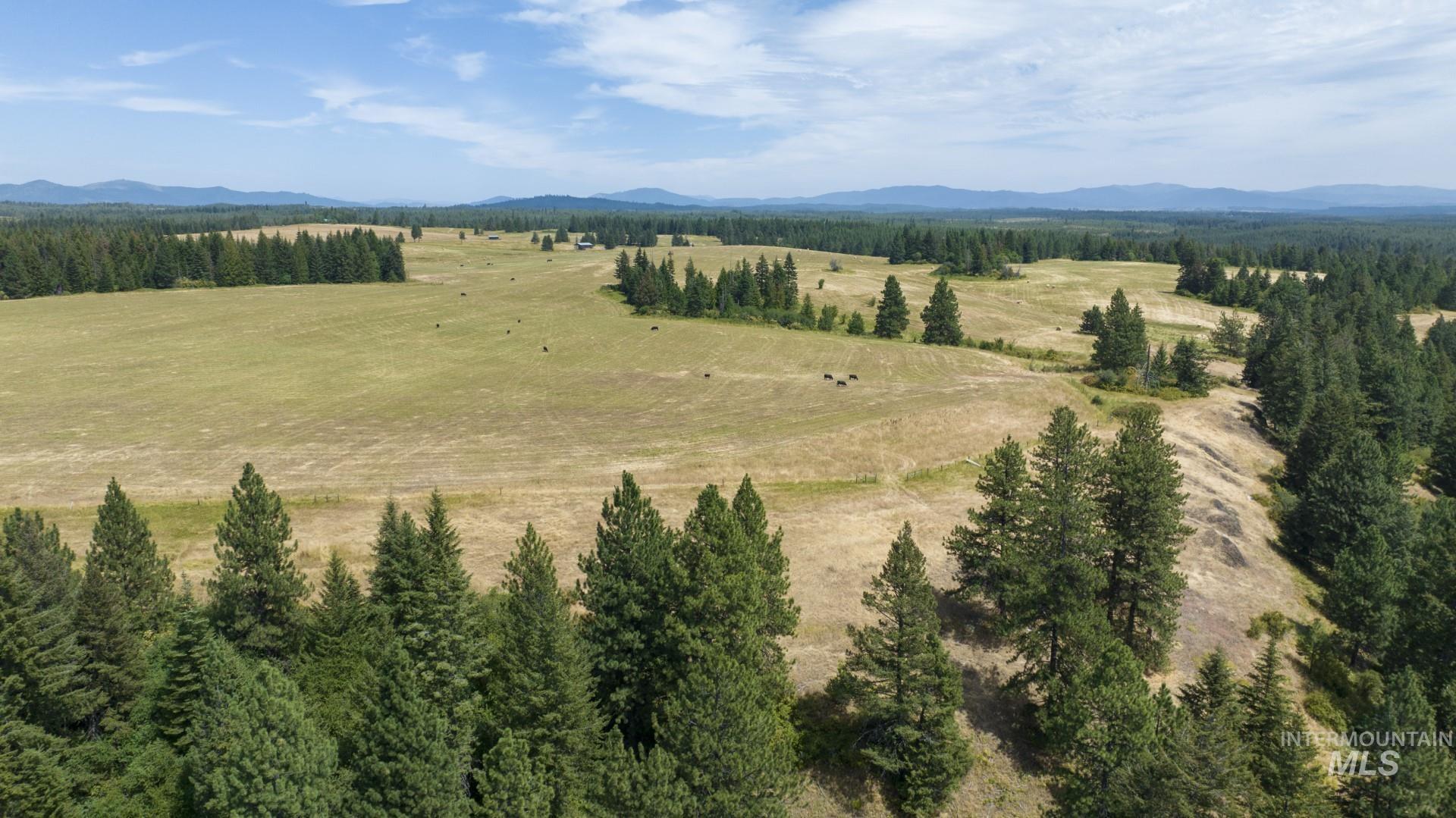 1605 Jasmine Ln, Parcels 14 & 15, Weippe, Idaho 83553, Land For Sale, Price $340,000, 98923378