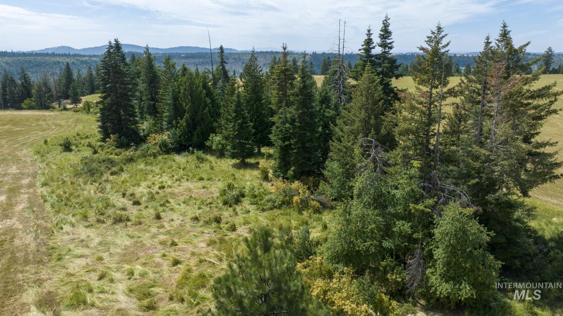 1605 Jasmine Ln, Parcels 14 & 15, Weippe, Idaho 83553, Land For Sale, Price $340,000, 98923378