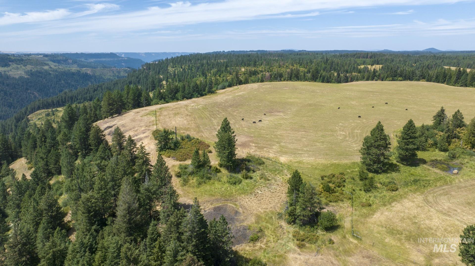 1605 Jasmine Ln, Parcels 14 & 15, Weippe, Idaho 83553, Land For Sale, Price $340,000, 98923378
