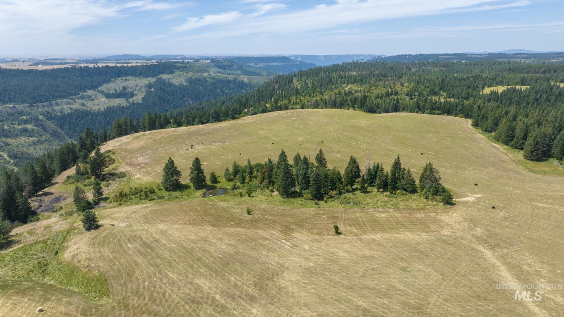1605 Jasmine Ln, Parcels 14 & 15, Weippe, Idaho 83553, Land For Sale, Price $340,000, 98923378