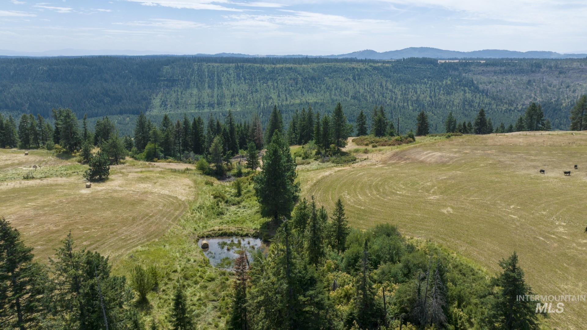 1605 Jasmine Ln, Parcels 14 & 15, Weippe, Idaho 83553, Land For Sale, Price $340,000, 98923378
