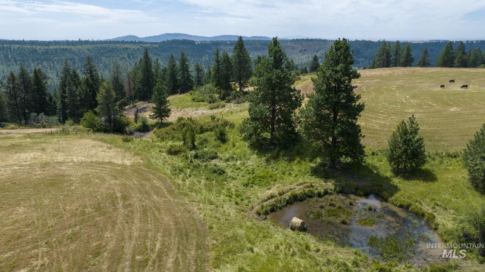 1605 Jasmine Ln, Parcels 14 & 15, Weippe, Idaho 83553, Land For Sale, Price $340,000, 98923378