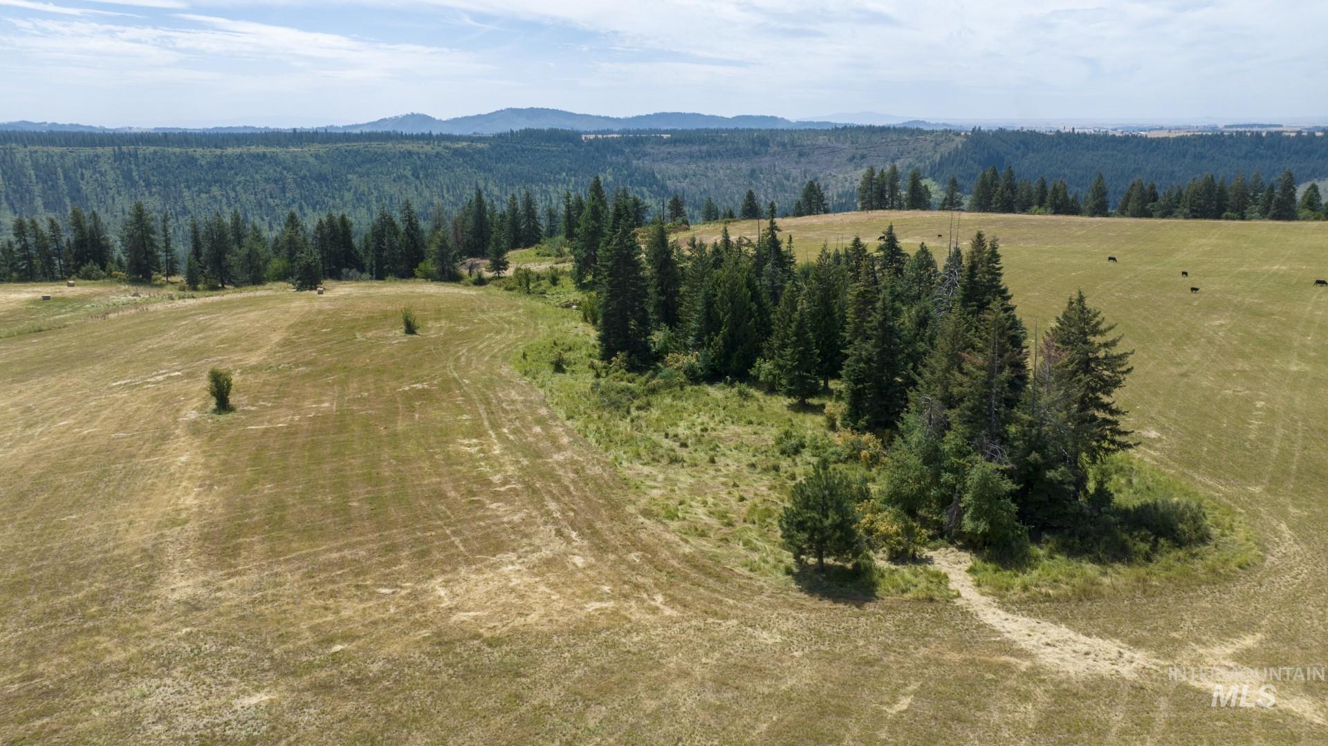 1605 Jasmine Ln, Parcels 14 & 15, Weippe, Idaho 83553, Land For Sale, Price $340,000, 98923378