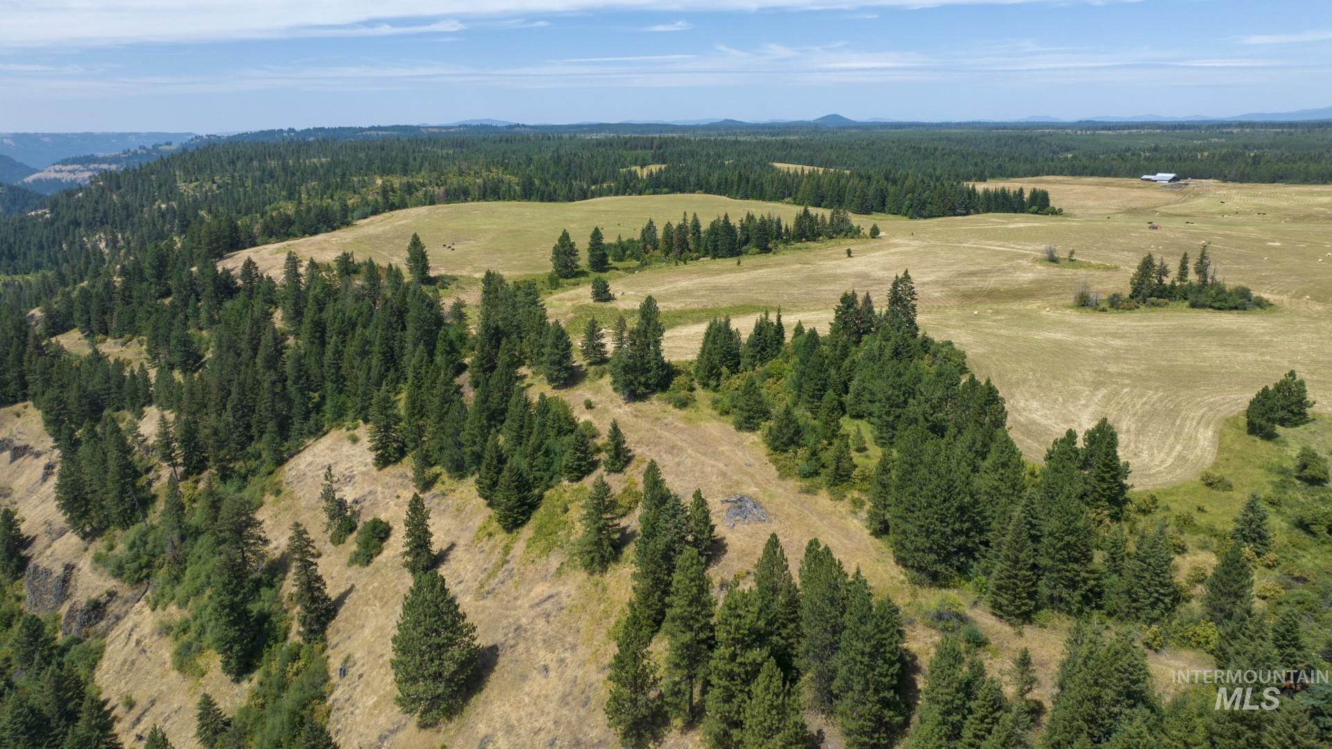 1605 Jasmine Ln, Parcels 16 & 17, Weippe, Idaho 83553, Land For Sale, Price $340,000, 98923383