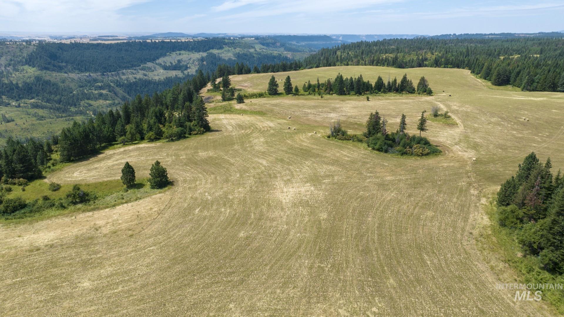 1605 Jasmine Ln, Parcels 16 & 17, Weippe, Idaho 83553, Land For Sale, Price $340,000, 98923383