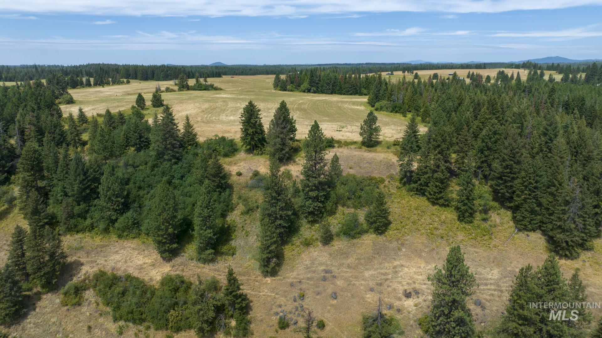 1605 Jasmine Ln, Parcels 16 & 17, Weippe, Idaho 83553, Land For Sale, Price $340,000, 98923383