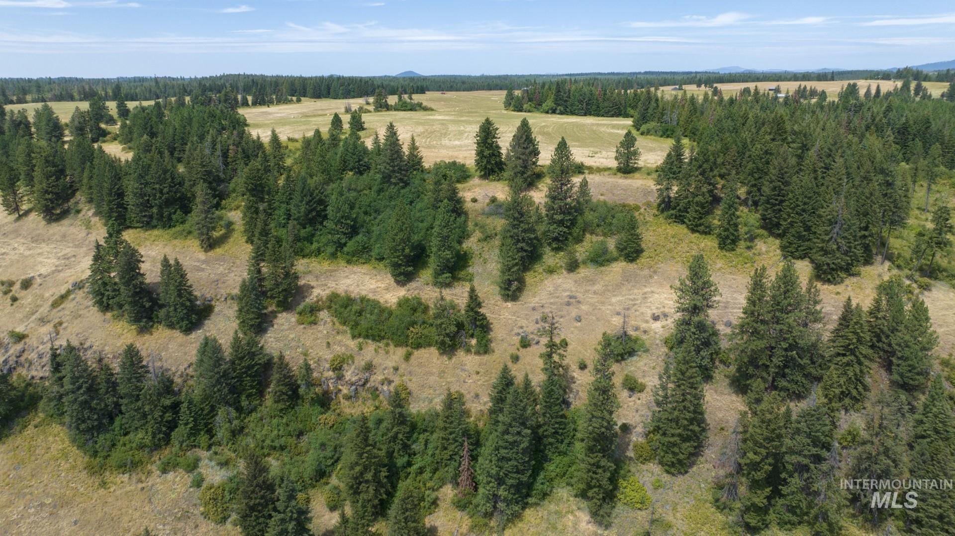 1605 Jasmine Ln, Parcels 16 & 17, Weippe, Idaho 83553, Land For Sale, Price $340,000, 98923383