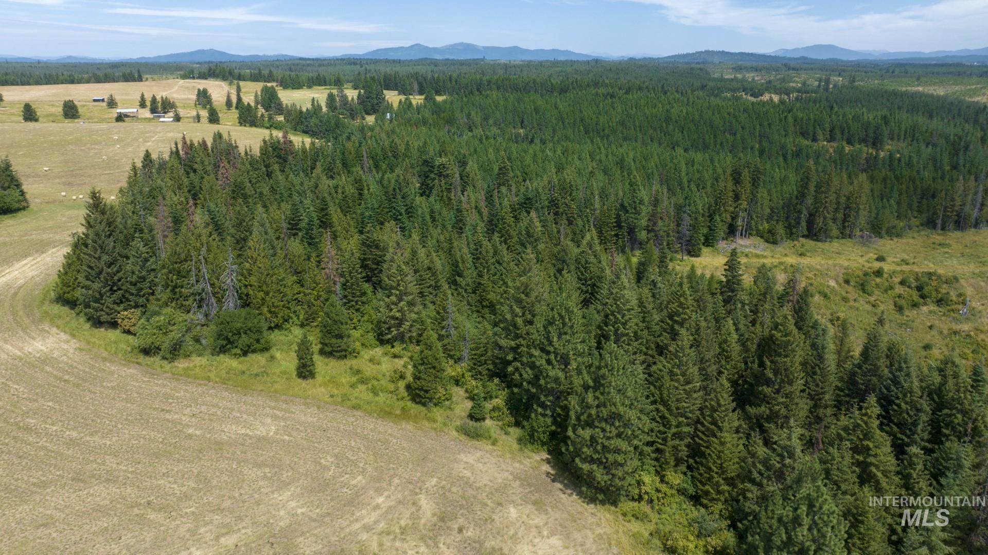 1605 Jasmine Ln, Parcels 16 & 17, Weippe, Idaho 83553, Land For Sale, Price $340,000, 98923383