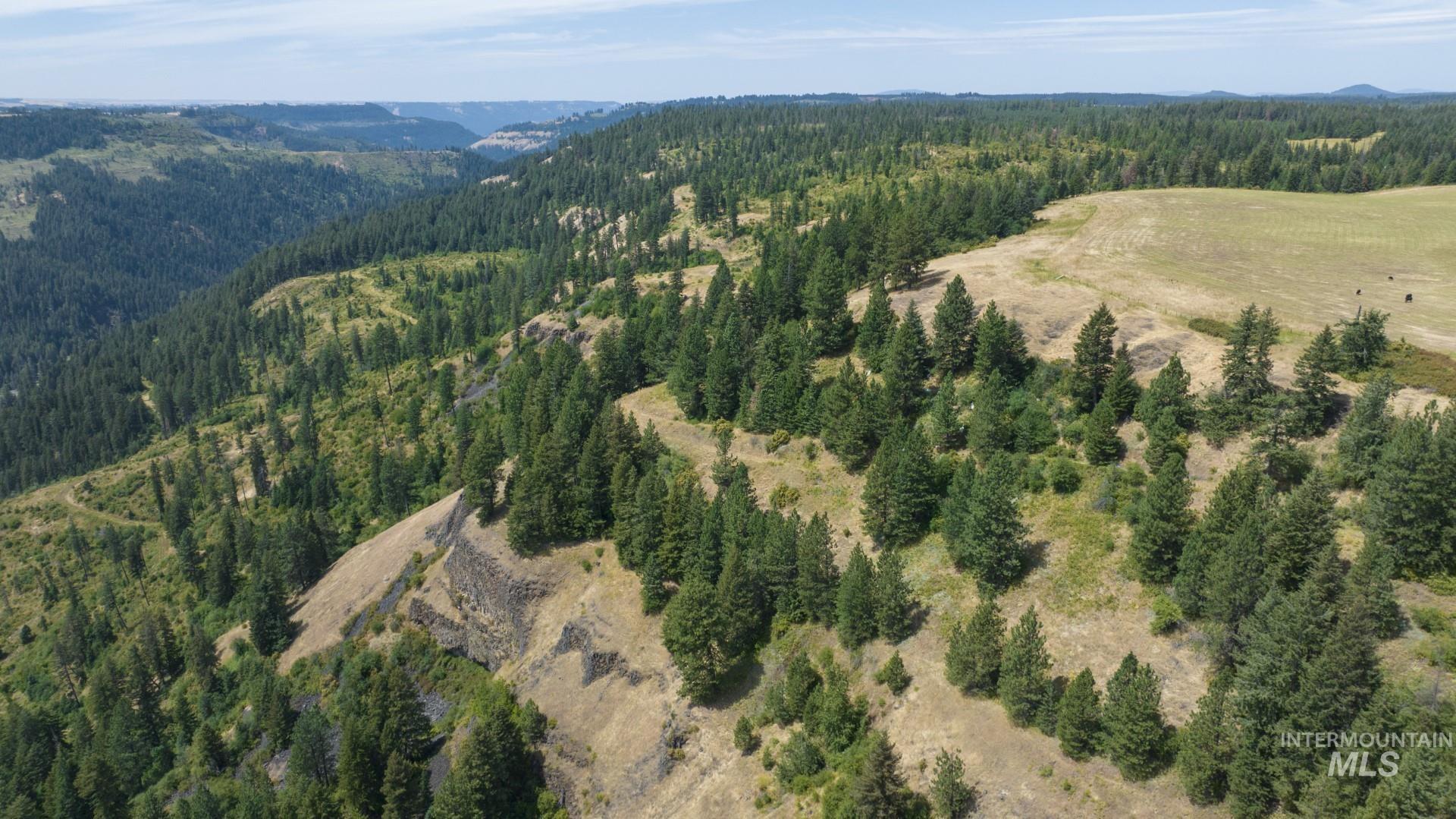 1605 Jasmine Ln, Parcels 16 & 17, Weippe, Idaho 83553, Land For Sale, Price $340,000, 98923383