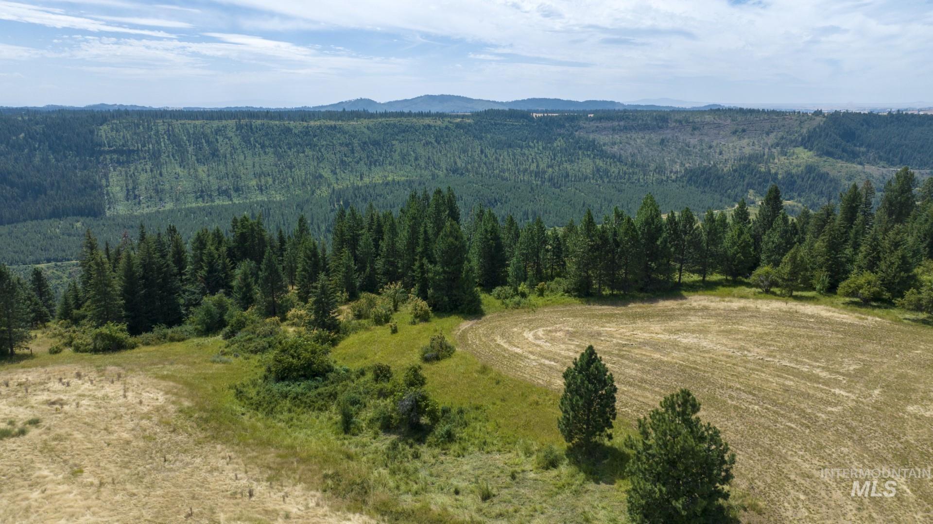 1605 Jasmine Ln, Parcels 16 & 17, Weippe, Idaho 83553, Land For Sale, Price $340,000, 98923383