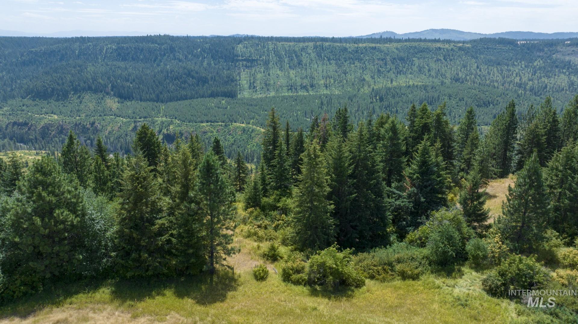 1605 Jasmine Ln, Parcels 16 & 17, Weippe, Idaho 83553, Land For Sale, Price $340,000, 98923383