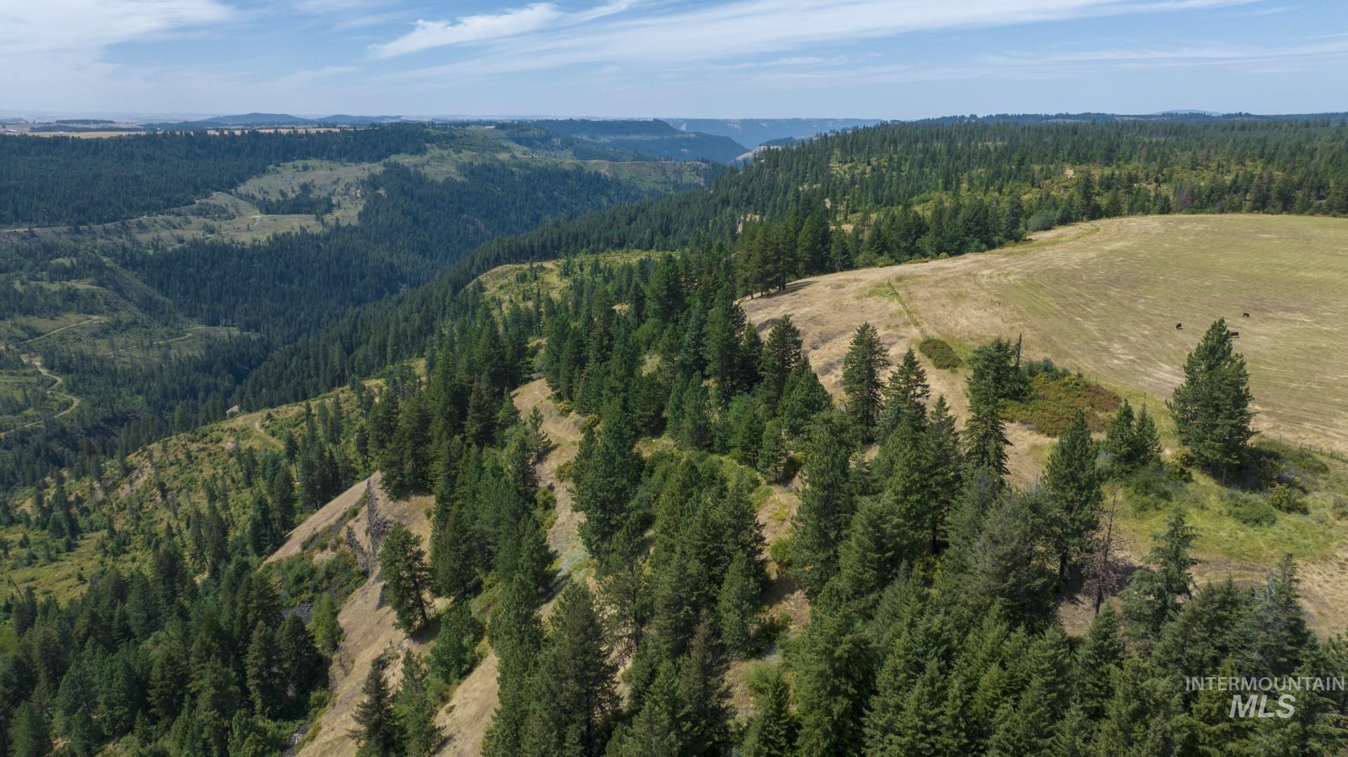 1605 Jasmine Ln, Parcels 16 & 17, Weippe, Idaho 83553, Land For Sale, Price $340,000, 98923383