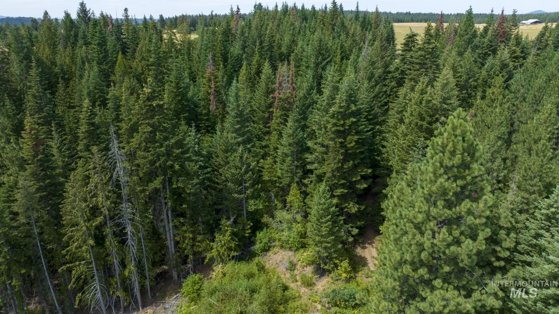 1605 Jasmine Ln, Parcels 16 & 17, Weippe, Idaho 83553, Land For Sale, Price $340,000, 98923383