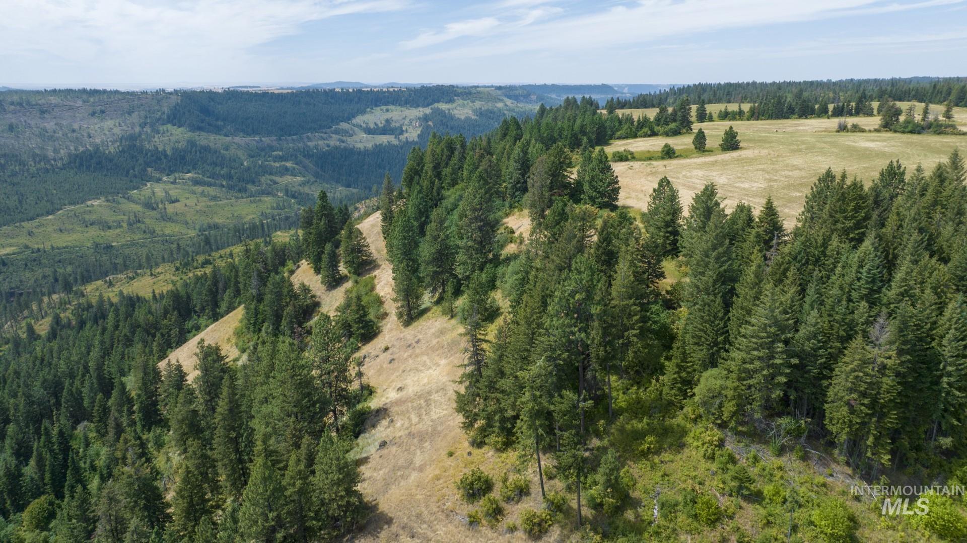 1605 Jasmine Ln, Parcels 16 & 17, Weippe, Idaho 83553, Land For Sale, Price $340,000, 98923383