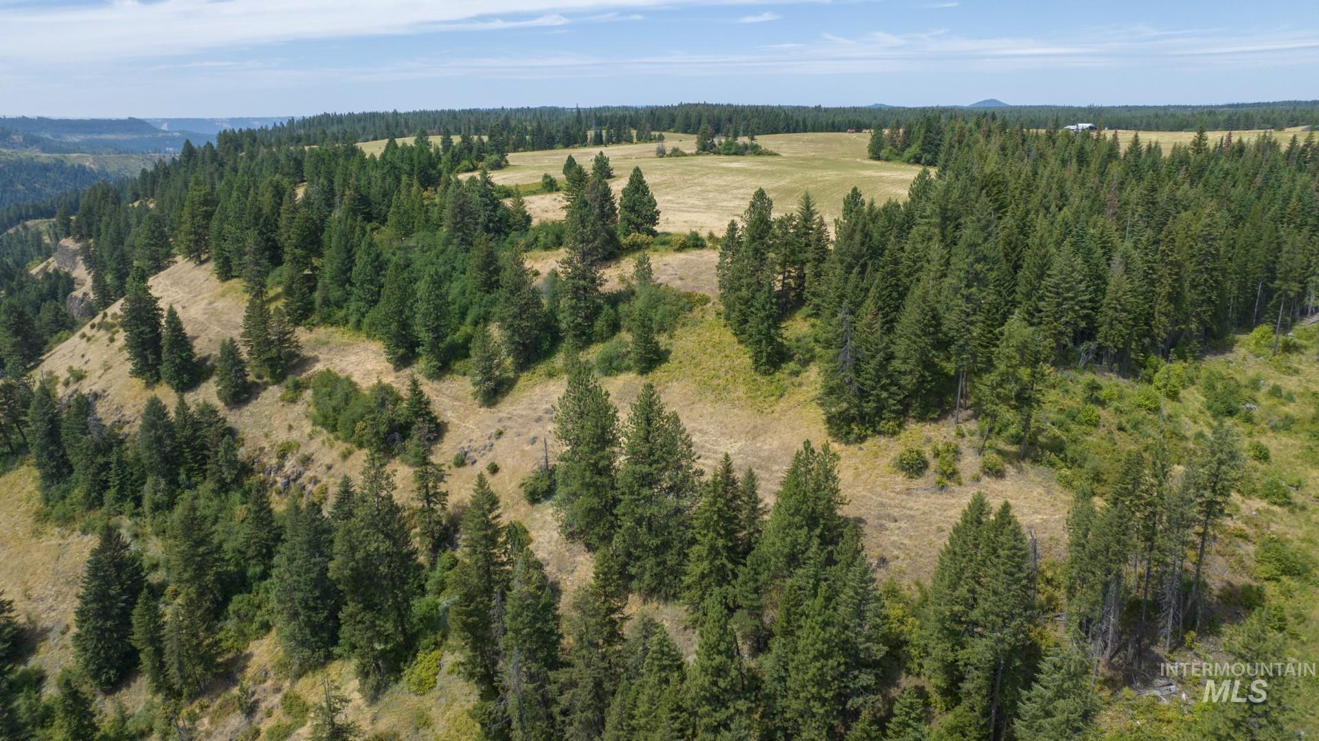 1605 Jasmine Ln, Parcels 16 & 17, Weippe, Idaho 83553, Land For Sale, Price $340,000, 98923383