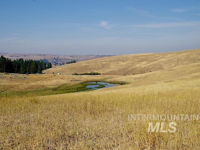 TBD Ditch Creek Road, Council, Idaho 83612, Farm & Ranch For Sale, Price $1,695,000,MLS 98923582