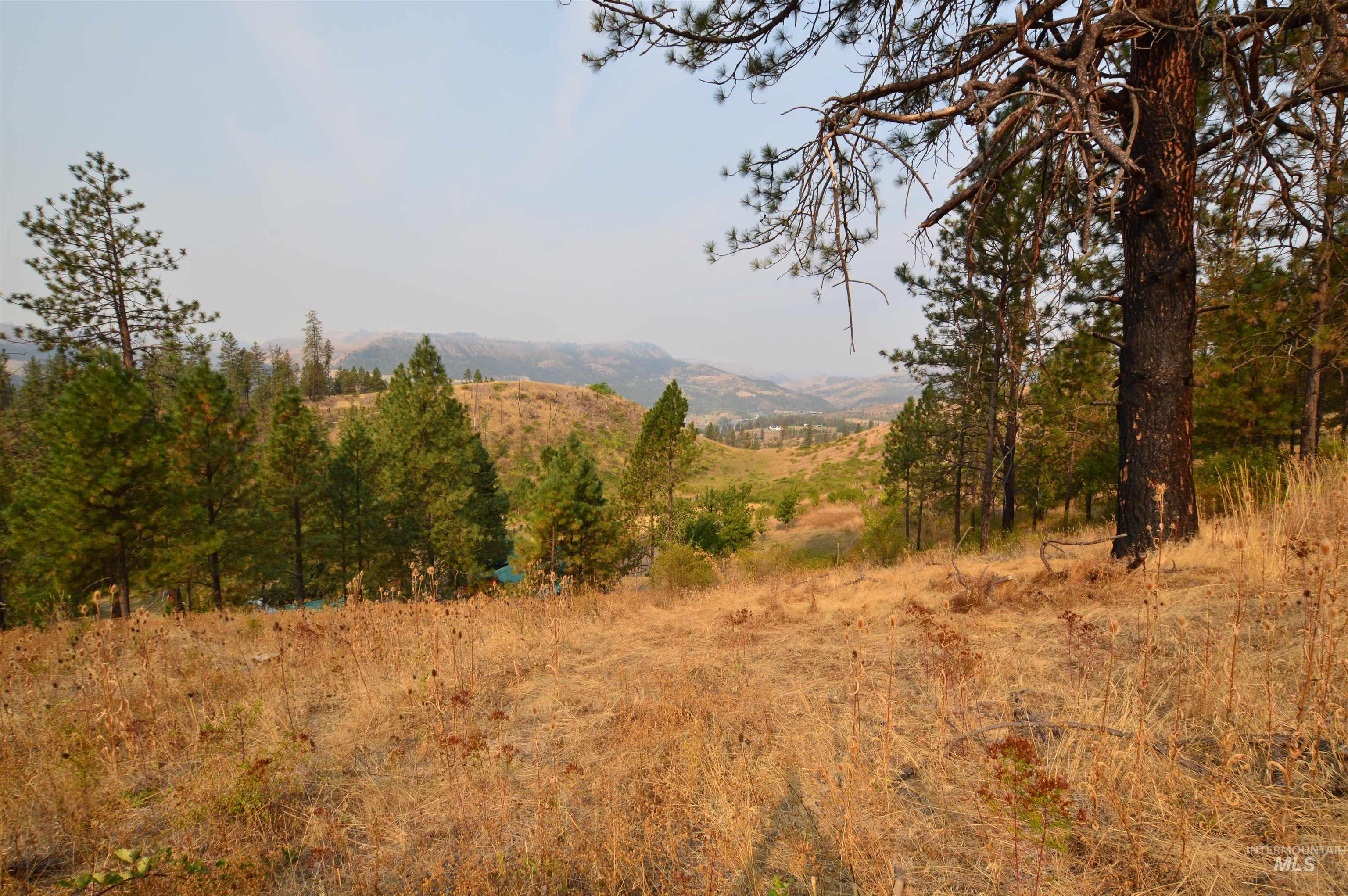 169 Westfall Ln, Kamiah, Idaho 83536, 3 Bedrooms, 3 Bathrooms, Residential For Sale, Price $565,000, 98923619