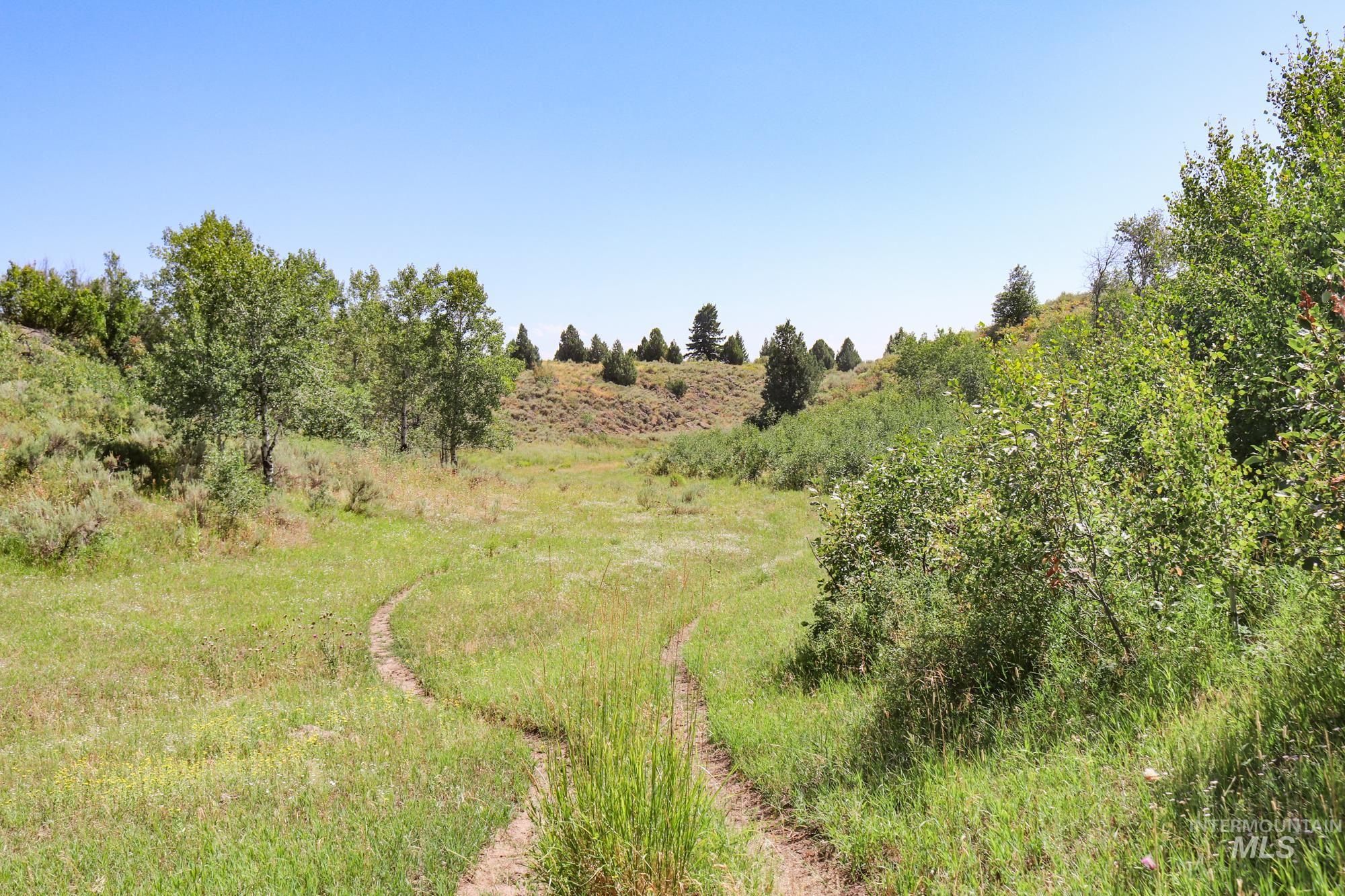 1780 Sadorus Hill Road, Ashton, Idaho 83420, 2 Bedrooms, 1 Bathroom, Residential For Sale, Price $4,500,000, 98923727